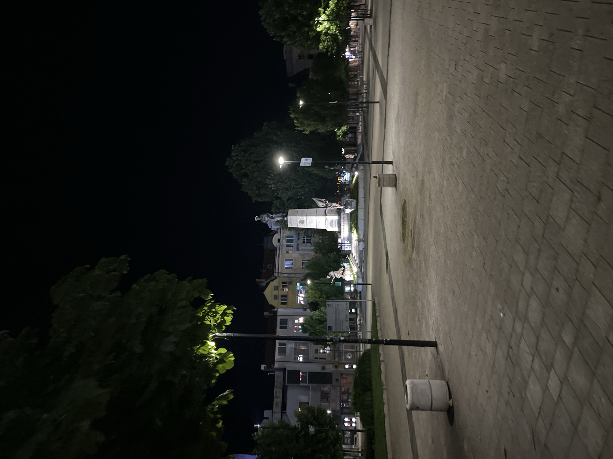 The image depicts an outdoor scene at night, likely in a city or town square. The viewpoint is low, looking upwards slightly towards buildings and a monument. The sky is dark, indicating it is nighttime. The ground is paved with rectangular stones, and a few streetlights are visible, casting a warm glow on the surroundings.
In the center of the image, a monument stands prominently, featuring a statue on top of a pedestal. The statue appears to be of a person, possibly a historical figure, rendered in stone. Behind the monument, several multi-story buildings are visible, their windows illuminated with various colored lights, suggesting an urban environment with shops or residences. Trees with dark green foliage are scattered throughout the scene, some illuminated by the streetlights, others silhouetted against the night sky.
To the right of the monument and buildings, the paved area extends, with a lamppost and a cylindrical trash receptacle visible. The overall atmosphere is quiet and peaceful, typical of a city at night. There are no people clearly visible engaging in any specific activity, although there might be some indistinct figures in the background near the monument. The weather appears clear, with no indications of rain or extreme conditions. The presence of the monument and the architecture of the buildings suggest a location with some historical or cultural significance. No discernible text is clearly visible in the image, though there may be small signs or inscriptions on the monument or buildings that are too small or indistinct to read.