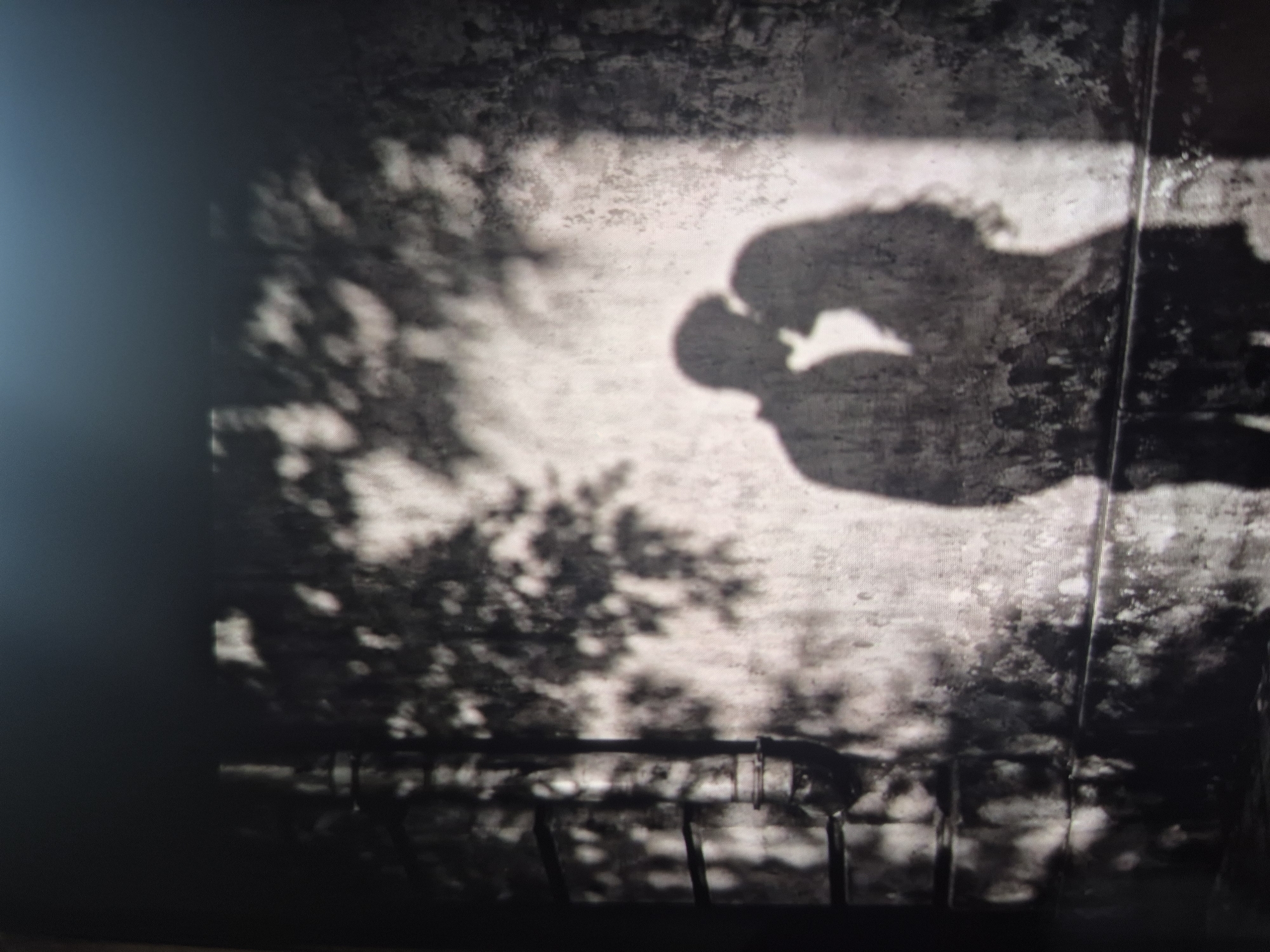 A monochrome image shows shadows cast on a wall. The shadows appear to be those of trees and a couple kissing. Below these, shadows resemble a railing or pipes. The location is believed to be Tbilisi, Georgia.