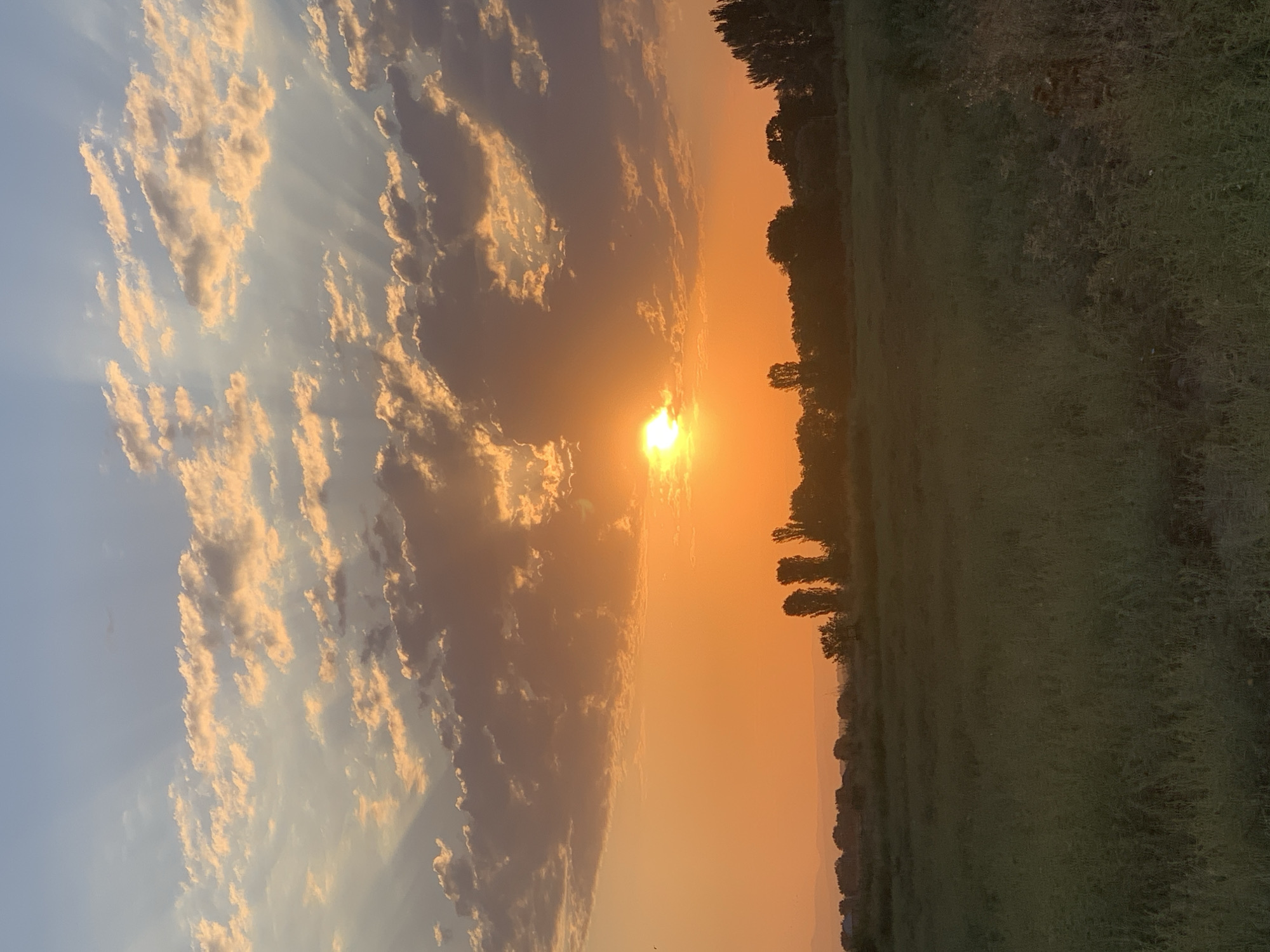 The image depicts a landscape scene at sunset, dominated by an orange sky filled with clouds and crepuscular rays. The sun is visible, partially obscured by clouds, casting a warm glow over the environment. In the foreground, a grassy field stretches across the lower half of the image. A line of trees and foliage forms a silhouetted horizon against the bright sky, with distant hills or mountains visible in the far background. The scene appears to be in a rural or natural setting, with no people or specific man-made structures prominently featured. The location is specified as Komsomolskoe, Kyrgyzstan.