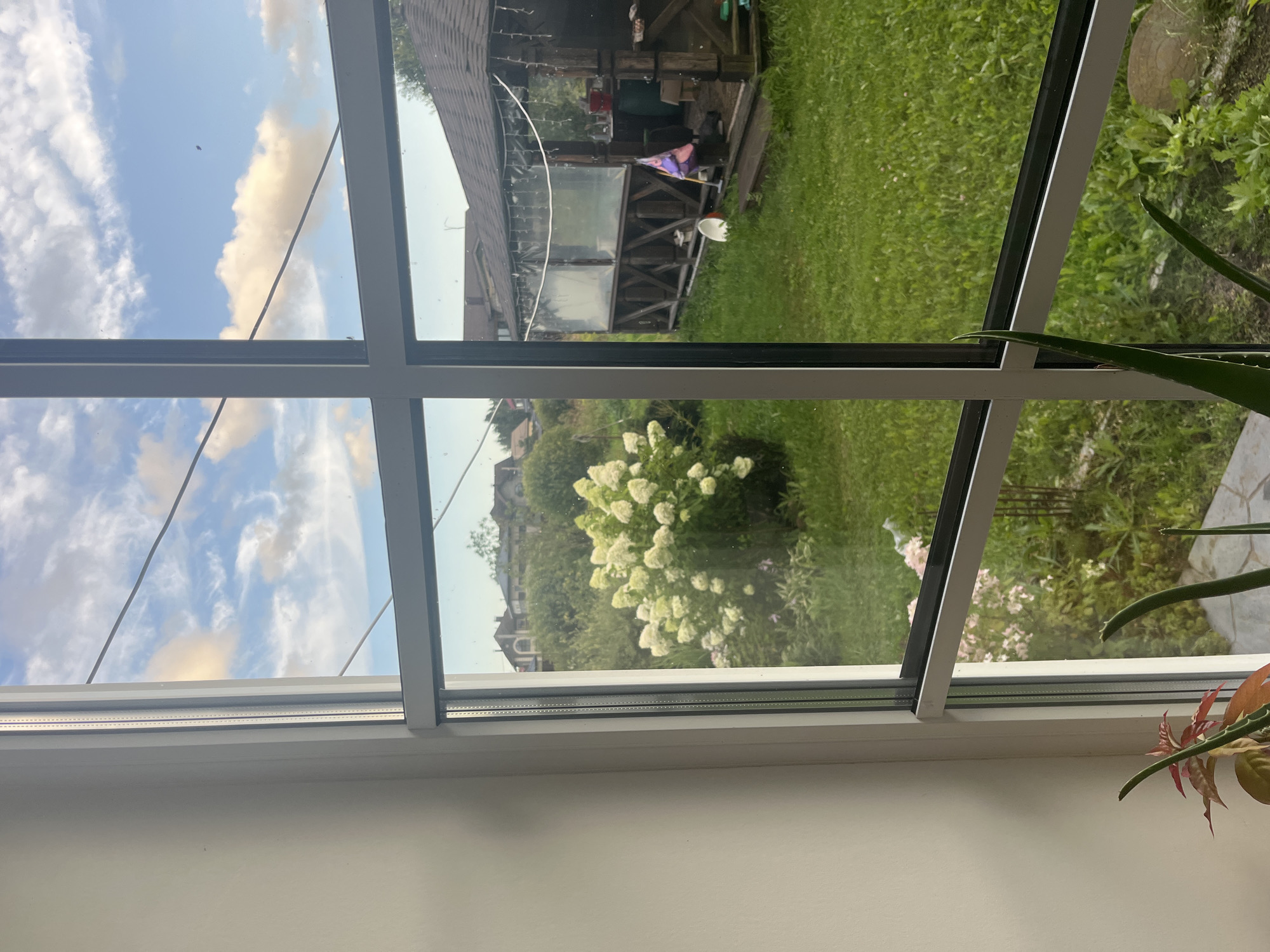 The image shows a view from a window looking out onto a backyard in Vladimirovka, Russia. The foreground features a white window frame. Through the window, a lush green lawn is visible, dotted with some small pink flowers. Further into the yard, a large bush with white flowers dominates the center, with more greenery and houses with red roofs in the background. To the right, a wooden gazebo with a dark roof is situated. The gazebo has wooden supports and clear plastic sheeting along its sides. Inside the gazebo, barrels and what appears to be a flag can be seen. The sky above is blue with scattered white and yellow clouds, and a faint power line stretches across it. In the immediate foreground, on the windowsill, part of a potted plant with green, spiky leaves is visible.