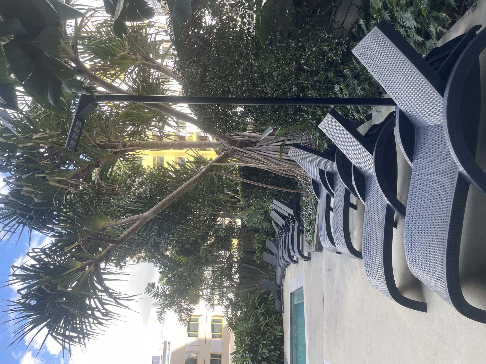 This image depicts an outdoor swimming pool area with multiple black plastic lounge chairs arranged on a concrete patio. Lush green foliage and palm trees surround the area, with a modern yellow building visible in the background. A tall, dark lamppost stands prominently in the foreground. The sky above is partly cloudy. The scene appears to be a tranquil setting within a residential or hotel complex, likely in a warm climate. Given the presence of such tropical vegetation and modern architecture, this scene could be located in a city like Brisbane, Australia, known for its outdoor lifestyle and subtropical climate.