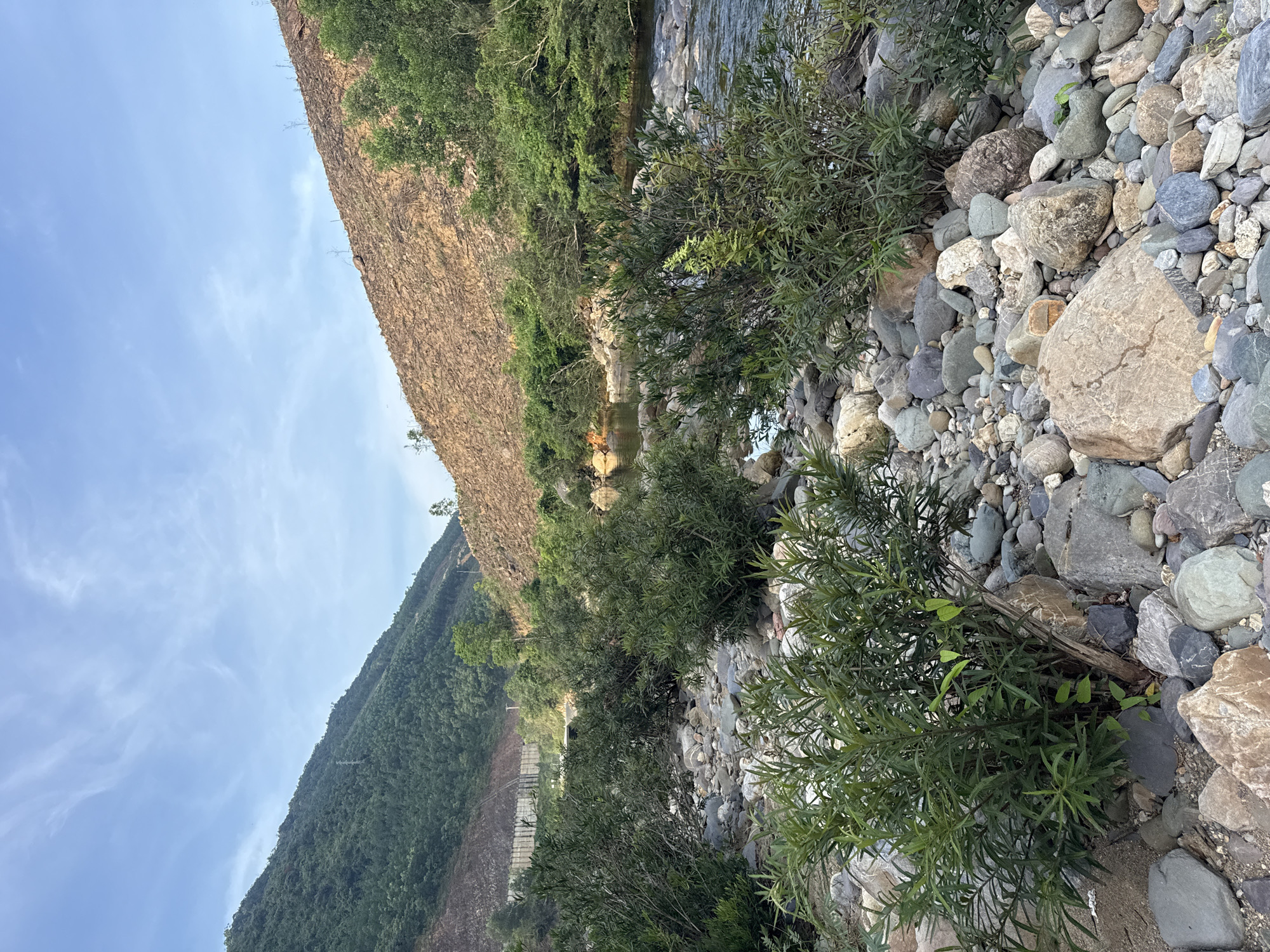 The image depicts a natural landscape, potentially a riverbank or rocky area. The scene includes a variety of elements such as a river, large stones, trees, and sky. The sky is partially visible and suggests a daytime setting. The location appears to be natural and vegetated, with a body of water visible in the background. The riverbed is filled with many small pebbles, and larger rocks. There is significant vegetation on both sides of the river.
The image is consistent with the natural landscape found in and around Đà Nẵng, Vietnam, where rivers and rocky terrain are common. Without additional information, a precise location within the city or its surroundings is difficult to determine.
