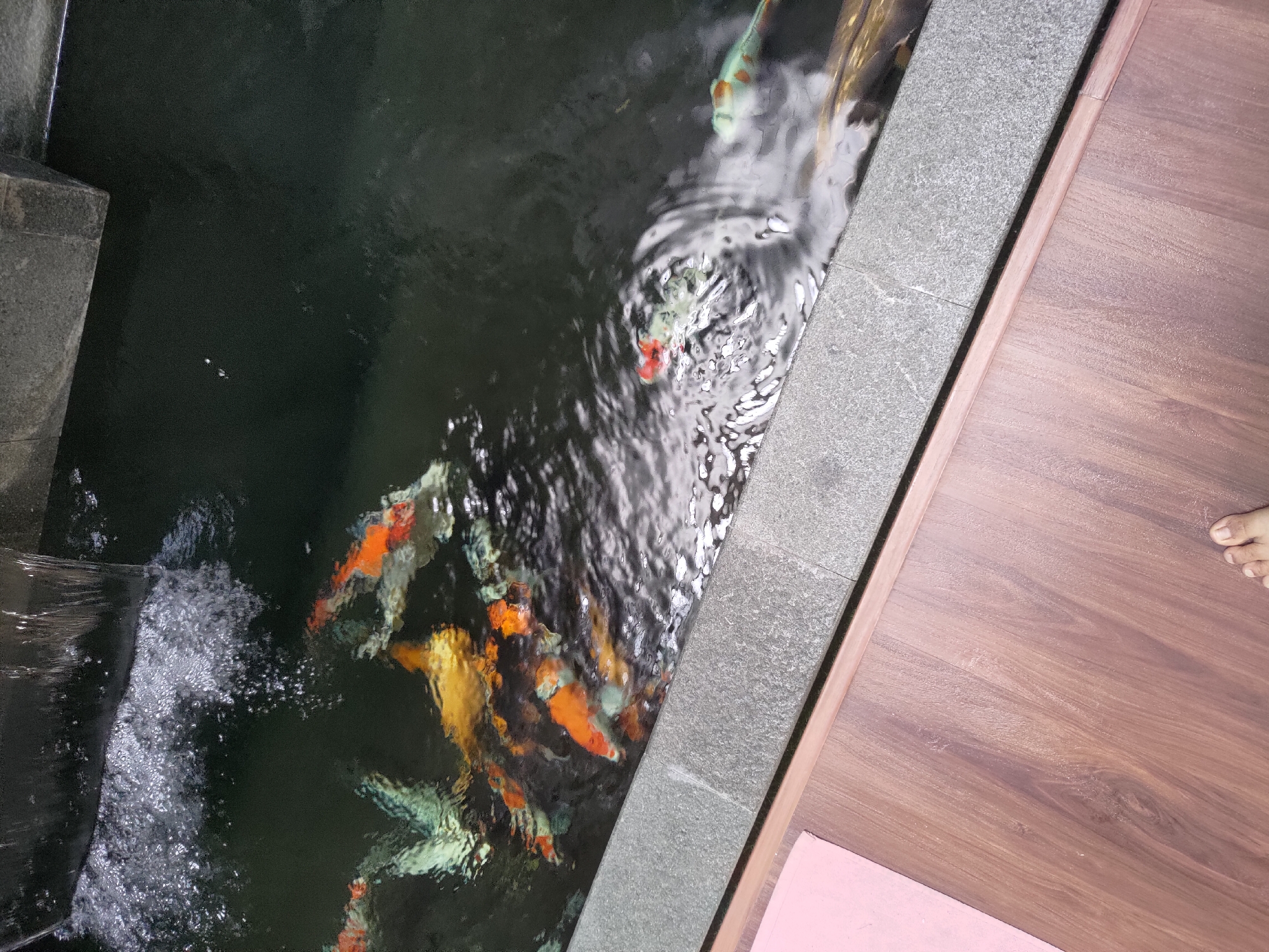 An overhead shot captures a pond filled with koi fish and a small waterfall feature. The pond is bordered by a gray tiled ledge and a wooden floor. A pink mat is visible on the floor near the pond's edge. The water is dark and reflects the surrounding environment. Several koi fish, in various colors including orange, white, and black, are swimming in the pond. A cascade of water is flowing from a dark structure into the pond, creating ripples and bubbles. The overall scene depicts an outdoor water feature, possibly in a garden or courtyard setting, in Depok, Indonesia.