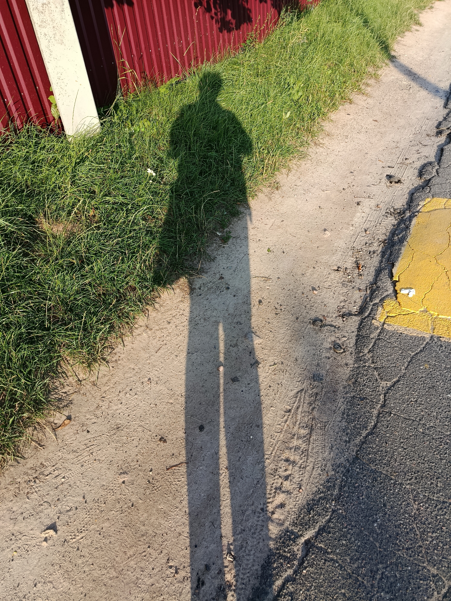 The image shows a shadow of a person cast on a pathway next to a grassy area and a red metal fence. The pathway appears to be a mix of dirt and asphalt, with visible tire tracks and cracks. A yellow line, possibly from a crosswalk, is visible on the asphalt section. The grassy area is overgrown with tall green grass. A white post is partially visible on the left side of the image, near the fence. The scene appears to be an outdoor location, possibly a roadside or a path in a residential area. The lighting suggests it is daytime, likely morning or late afternoon due to the long shadow. The location is identified as Смілавіцкі сельскі Савет, Belarus.