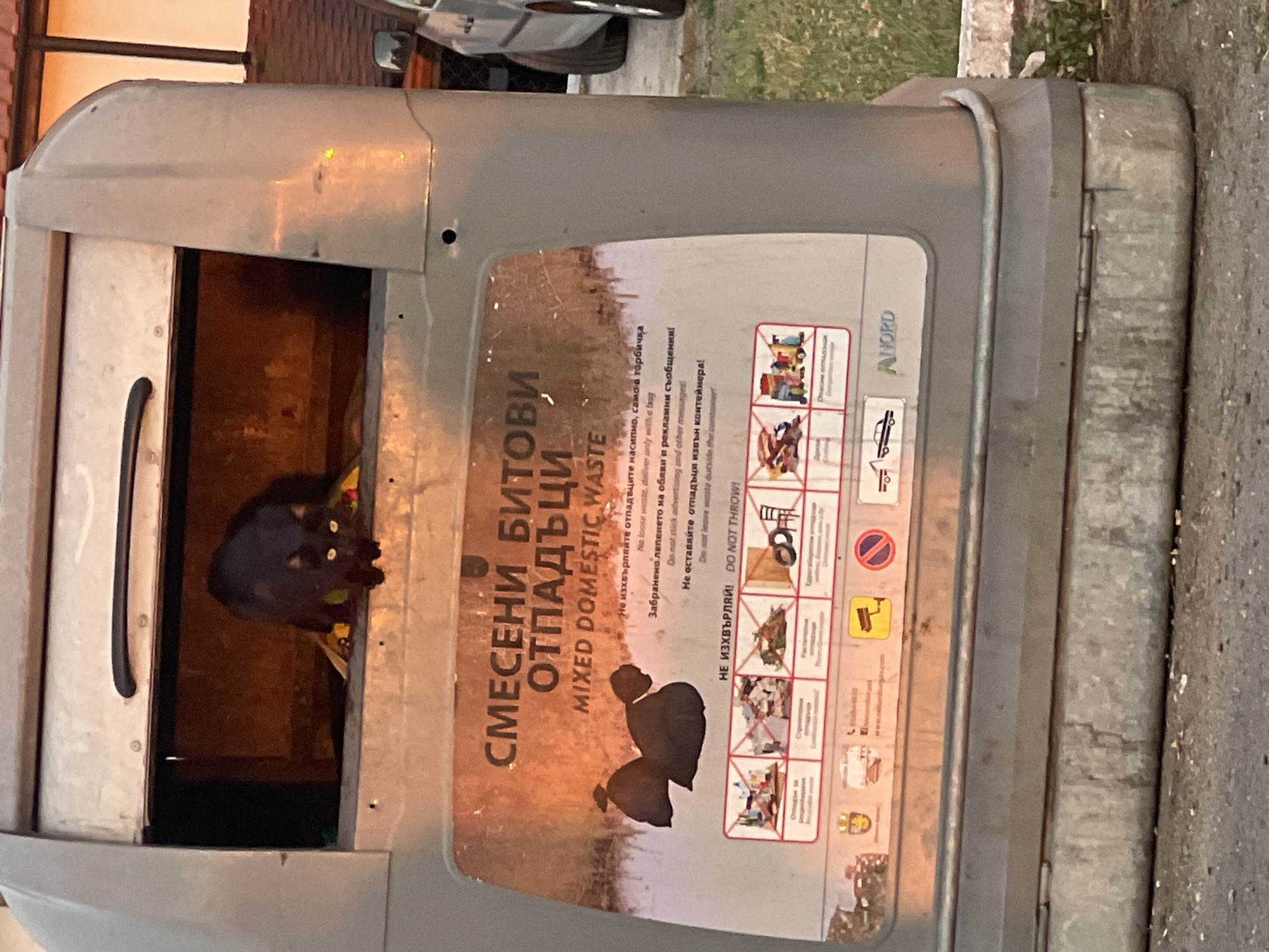 A black cat is perched on the edge of an open, grey, rectangular dumpster filled with trash. The cat is looking down and slightly to the right with its yellow eyes visible. The dumpster has a label in both Bulgarian and English that reads "MIXED DOMESTIC WASTE". Below this text is a series of pictograms illustrating acceptable and unacceptable waste disposal. The dumpster is situated outdoors, with a grassy area and a building visible in the background. The lighting suggests it is either dawn or dusk, casting a warm glow on the scene. The image appears to be taken in the city of Tvarditsa, Bulgaria.