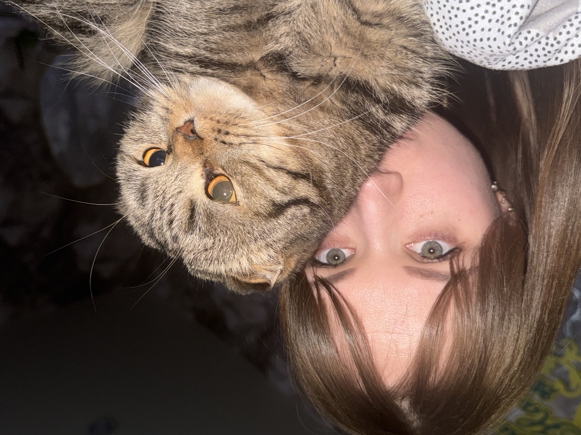 This close-up portrait features a woman and a tabby cat, likely taken indoors in Chaikovsky, Russia. The image is composed from an overhead perspective, with both subjects looking upwards towards the camera.
The primary subjects are the face of a woman and the head of a cat. The woman has medium brown, straight hair, light green or hazel eyes with subtle eyeliner, and fair skin. A small, silver-colored earring is visible in her right earlobe. Her expression is neutral and calm.
Beside her, a brown and black striped tabby cat rests its head, making eye contact with the camera. The cat has striking large, round, amber-orange eyes and long, prominent white whiskers. Its fur appears soft and well-groomed. The cat seems relaxed and content.
The activity captured is an intimate moment of companionship between the woman and the cat, suggesting a close bond. The lighting is relatively dim, consistent with an indoor setting, possibly in the evening. In the background, to the upper right, a light grey fabric with small dark polka dots, possibly a pillow or blanket, is visible, along with a hint of patterned fabric further right. The left side of the background is dark and out of focus. No visible text is present in the image.