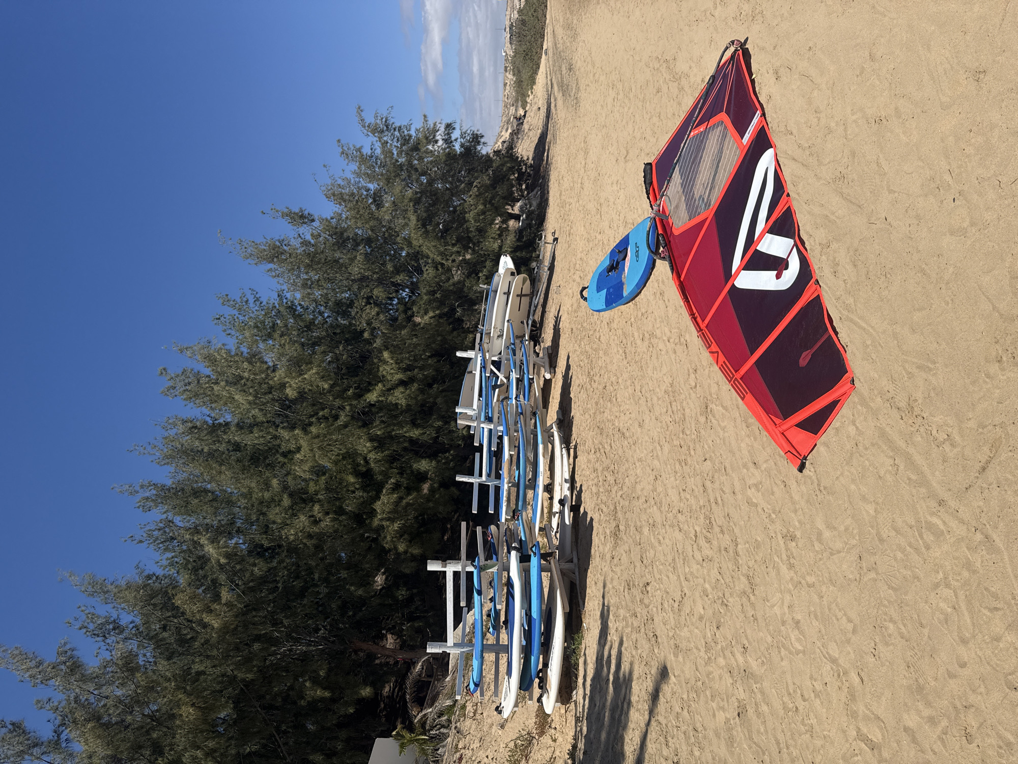 The image captures a bright, sunny scene on a sandy beach, likely in Pájara, Spain. In the foreground, a vibrant red and dark purple windsurfing sail lies on the sand, angled towards the left. It features a prominent white, stylized logo that resembles a '7' or 'V' with a line, and smaller text "SEVEN..." is partially visible along its base. Next to the sail, a blue windsurfing board with white accents also rests on the sand.
To the left, a long rack holds numerous white and blue surfboards or smaller windsurfing boards, indicating a rental or storage facility for water sports equipment. Behind the rack, a dense line of tall, dark green pine-like trees stretches across the middle ground, providing a natural backdrop.
The background on the right reveals a distant sandy landscape with low vegetation and subtle hints of buildings or structures on a slight incline. The sky is a clear, bright blue with a few faint white clouds. Strong shadows cast on the sand suggest bright sunlight, indicating it is likely mid-day. The overall impression is one of leisure and outdoor recreation in a warm, coastal environment.