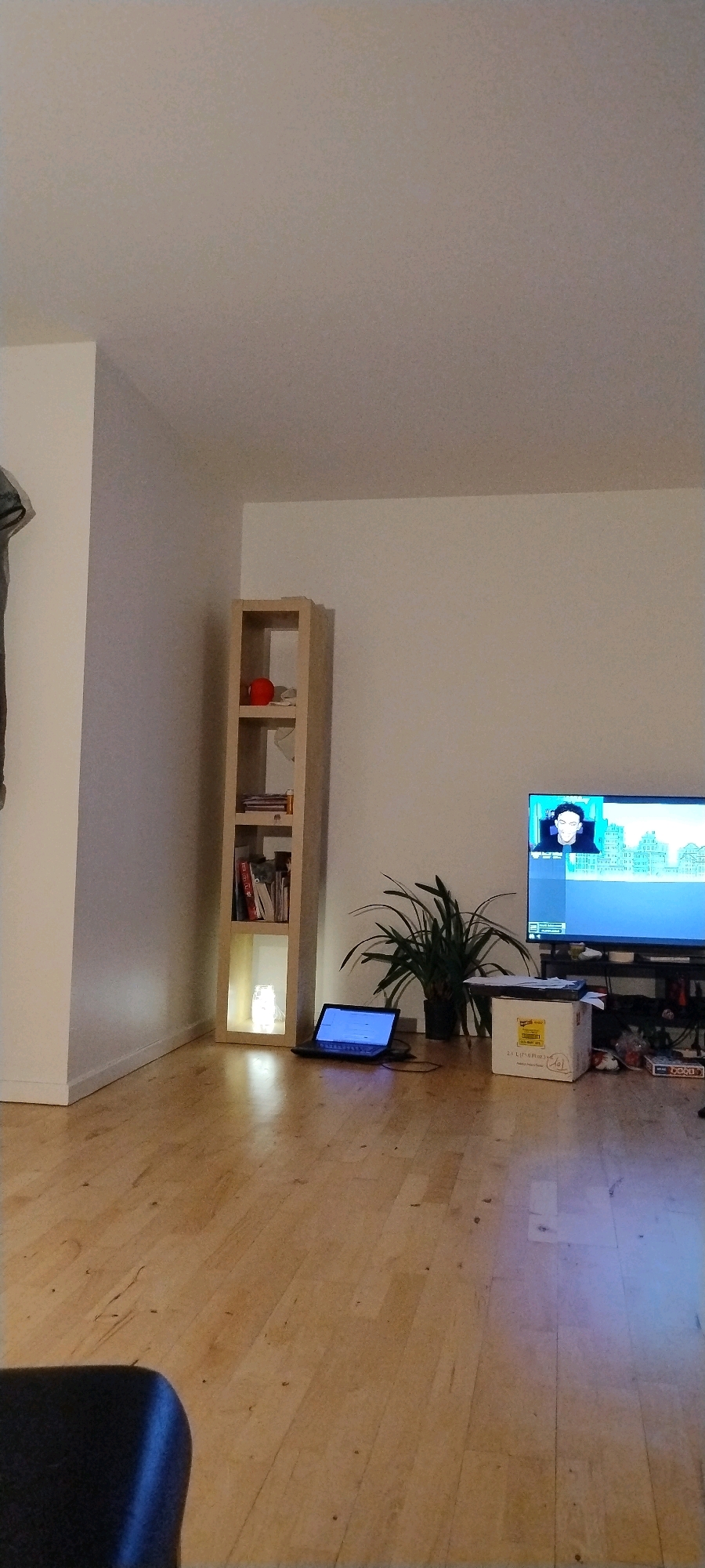 The image depicts a living room with wooden floors. In the center of the frame, a tall, narrow, light-colored bookshelf stands against a white wall. The bookshelf contains several books and a small red spherical object on one of its shelves. The bottom shelf of the bookshelf has an illuminated lamp. To the right of the bookshelf, a laptop is open and placed on the floor, its screen glowing. Beside the laptop, a large potted plant with dark green leaves is visible. Further to the right, a large television screen displays an image of a person. Beneath the television, a black stand holds various items, including a cardboard box. The scene appears to be indoors, likely a residential setting, with no specific indicators of its location within Ishøj, Denmark.