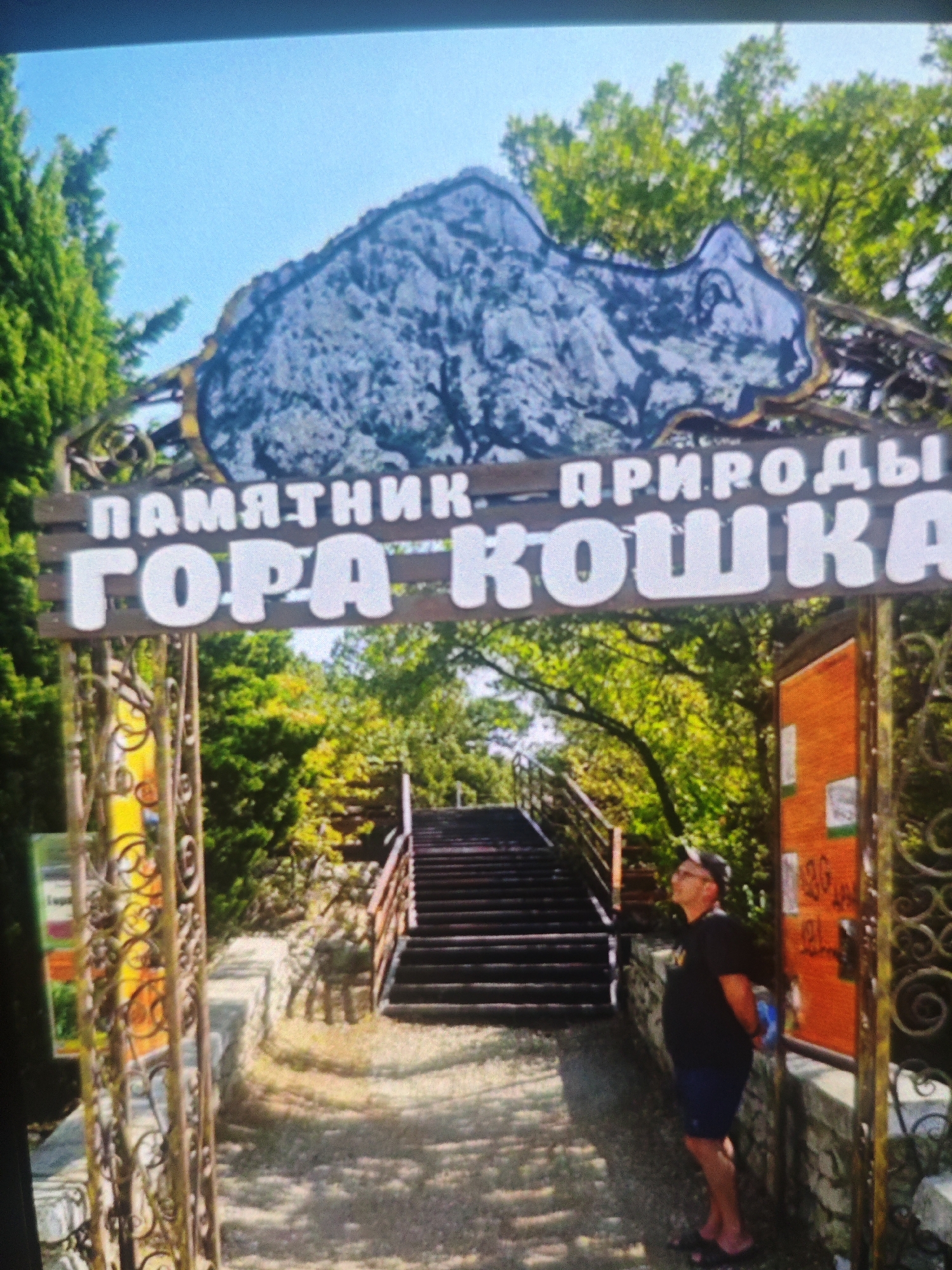 The image captures an entrance to a nature monument, possibly a park or a natural attraction, indicated by a sign with Cyrillic lettering that reads "ПАМЯТНИК ПРИРОДЫ ГОРА КОШКА," which translates to "Nature Monument Cat Mountain." The sign is mounted on a wooden structure and features an artistic depiction of a mountain resembling a cat's head.
In the foreground, a man wearing a black t-shirt and blue shorts stands looking upwards. He is positioned to the right of the entrance, near a stone wall and an orange information board. His stance suggests he is observing something or waiting.
Beyond the entrance, a paved path leads to a set of dark wooden stairs ascending towards a lush, green forested area. The sky is clear and blue. The overall environment appears to be a natural setting with trees and vegetation. The presence of the sign and the path suggests this is a designated tourist or recreational spot. The image does not provide specific visual cues to definitively place it within the city of Armavir, Russia, beyond the assumption made in the prompt.