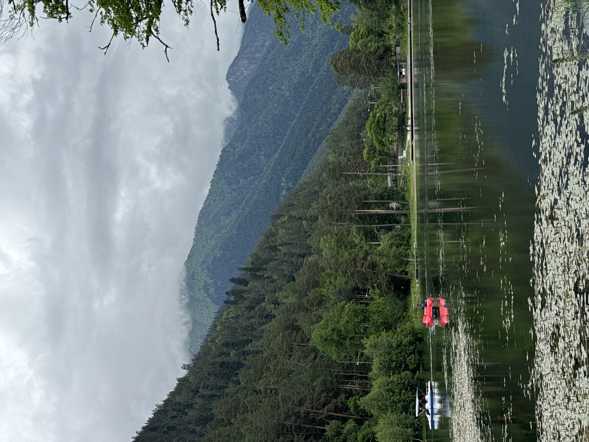 A serene lake scene unfolds under a cloudy sky in Teberda, Russia. The lake's surface reflects the lush green of the surrounding forest-covered mountains. In the foreground, the water is dotted with clusters of lily pads. Two pedal boats navigate the calm water; a white and blue boat with two occupants is to the left, and a bright red boat with a single person rowing is to the right. A dense forest blankets the steep slopes of the mountains that rise majestically in the background. The sky is overcast with heavy, grey clouds, creating a subdued atmosphere. The shoreline is lined with trees, and a wooden dock extends into the water with a small building nearby, suggesting a recreational area.