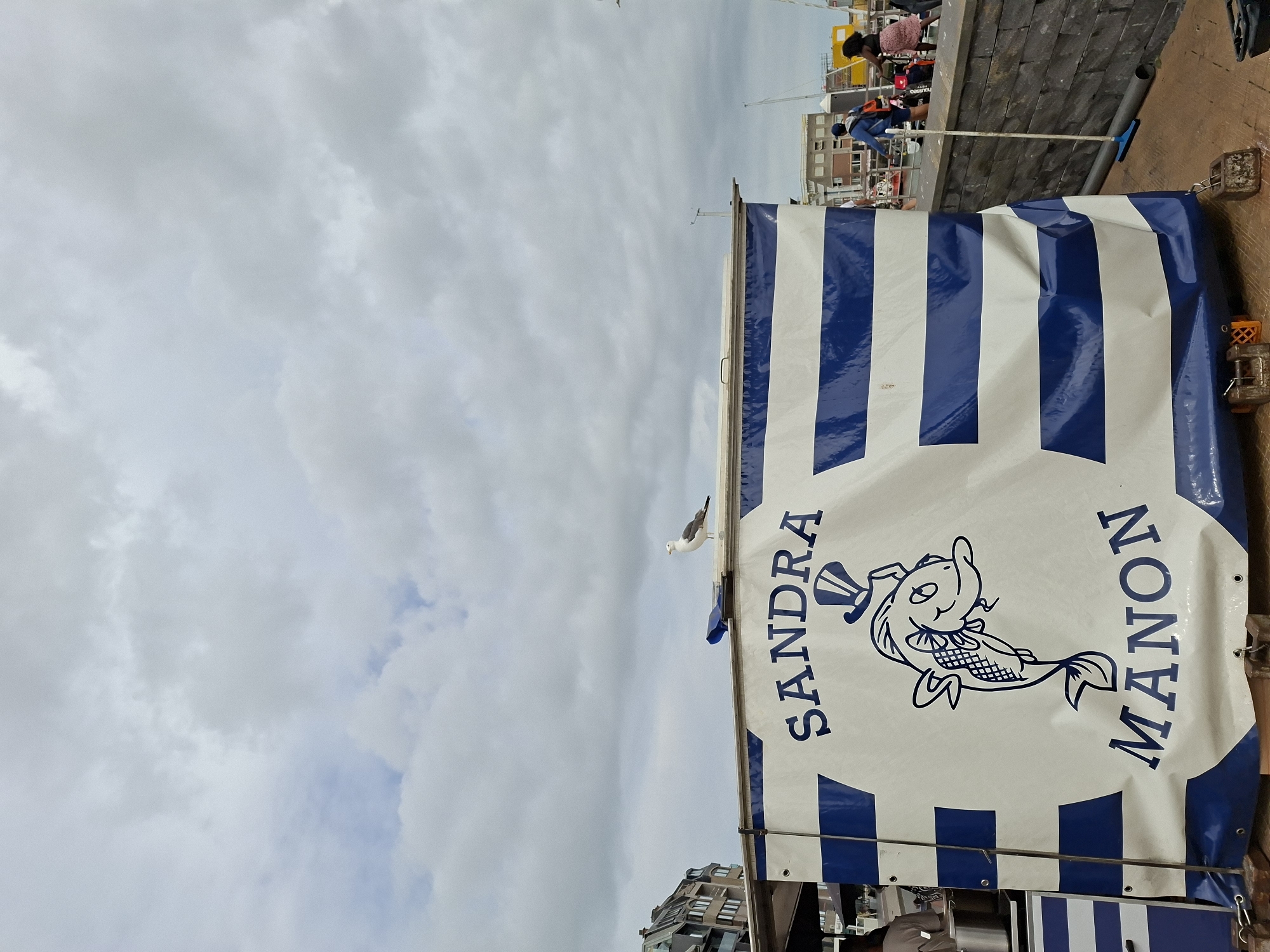 A seagull stands on the roof of a food stall, which has a large white banner with blue stripes. The banner displays the name "SANDRA MANON" in blue lettering, along with a cartoon drawing of a fish wearing a top hat. The food stall is located outdoors in a public area, possibly a harbor or waterfront, given the presence of boats and buildings in the background. There are a few people in the distance, and the sky is overcast. The overall impression is a casual outdoor market or food vendor setting. The location is identified as Ostend, Belgium.