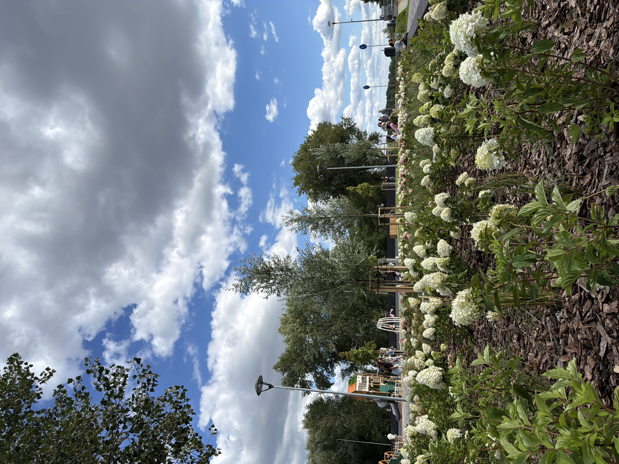 The image depicts a sunny day in Vyshhorod, Ukraine, likely a park or recreational area. In the foreground, a bed of white hydrangeas with some pink blossoms is mulched with dark wood chips. Several people are visible in the middle ground, scattered across a paved area that appears to be a playground and seating area. Some are standing and talking, while others are seated on benches or playing. A large, multi-level playground structure with orange and green elements is present on the left. Lampposts are strategically placed throughout the area. In the background, a line of trees forms a backdrop, with a bright blue sky dotted with fluffy white and grey clouds above. The overall scene suggests a public space that is well-maintained and actively used by the community.