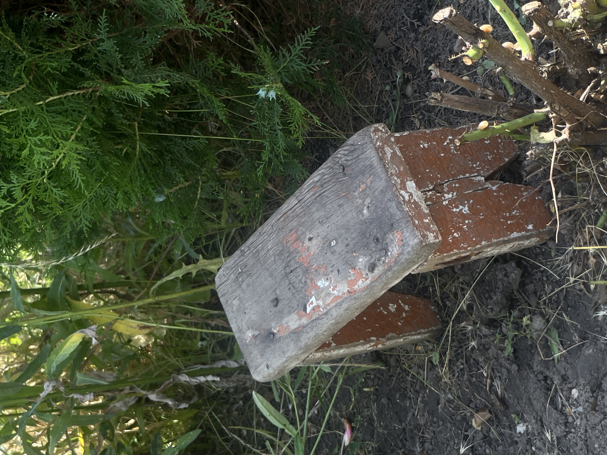 In Tikhoretsk, Russia, a weathered wooden stool, painted red and grey, sits on dark soil in a garden. The stool's surface is chipped and worn, with visible nail heads. Surrounding the stool is dense green foliage, including a large evergreen bush and taller, leafy plants. Dry grass and twigs are scattered on the ground, along with pruned branches from a nearby shrub. The scene appears to be an outdoor setting, possibly a backyard or park, bathed in natural light.