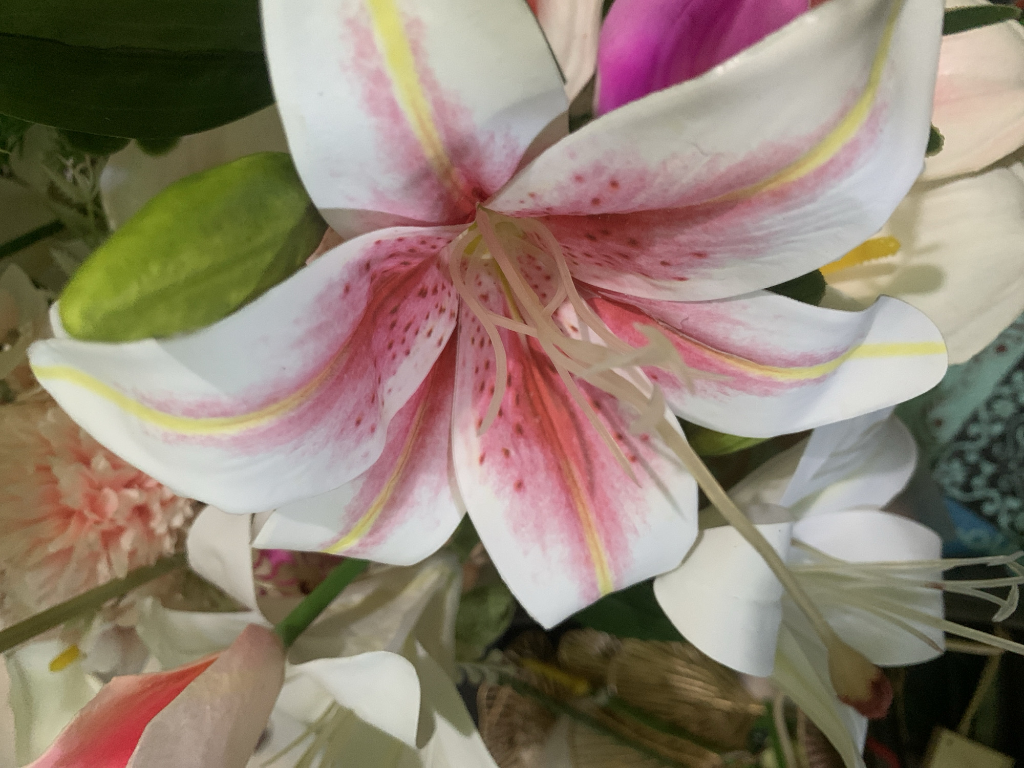 A close-up, slightly overhead shot focuses on the details of a large, white lily with pink and yellow markings. The flower's petals are large and prominent, with a delicate texture. The stamen are visible, extending from the center of the bloom. In the background, other floral elements are present, including a bright pink petal and a green bud. The lighting is soft and diffused, highlighting the intricate details of the flower. The image is composed in a way that emphasizes the beauty and natural form of the lily. There are no people or identifiable structures in the image. The setting is not discernible as being in Kuala Pembuang, Indonesia, or any specific city, as it is a close-up of flowers.