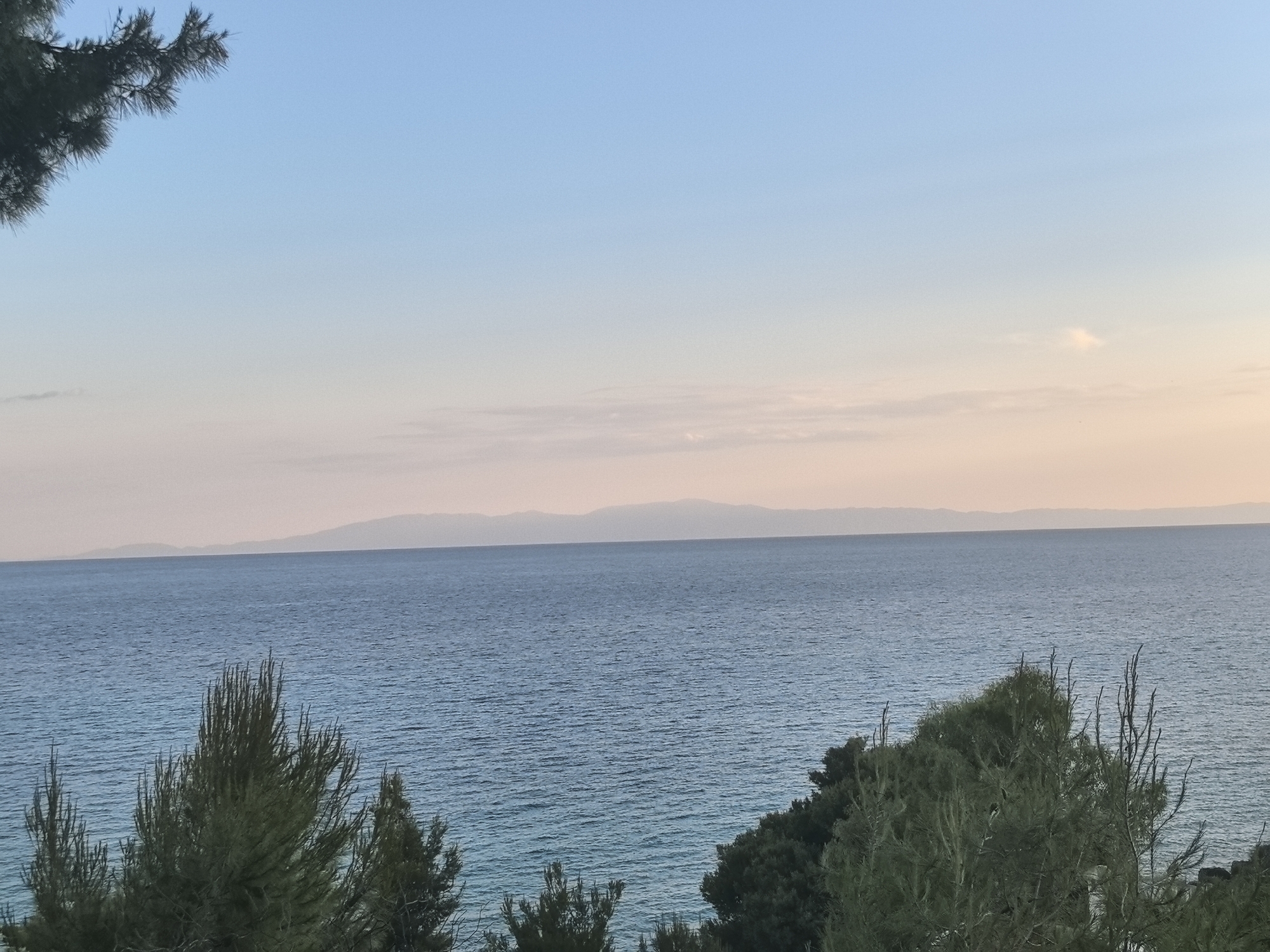 The image depicts a serene seascape at dusk. The foreground is dominated by the lush green foliage of pine trees, their branches reaching into the frame from the top left and bottom right corners, creating a natural frame for the scene. The middle ground is a vast expanse of calm, deep blue ocean, with gentle ripples reflecting the soft light of the sky. In the distance, a hazy, muted mountain range forms a faint silhouette against the horizon. The sky above transitions from a pale blue near the top to a soft gradient of pink and orange hues closer to the horizon, indicating the setting or rising sun. The overall atmosphere is peaceful and tranquil.