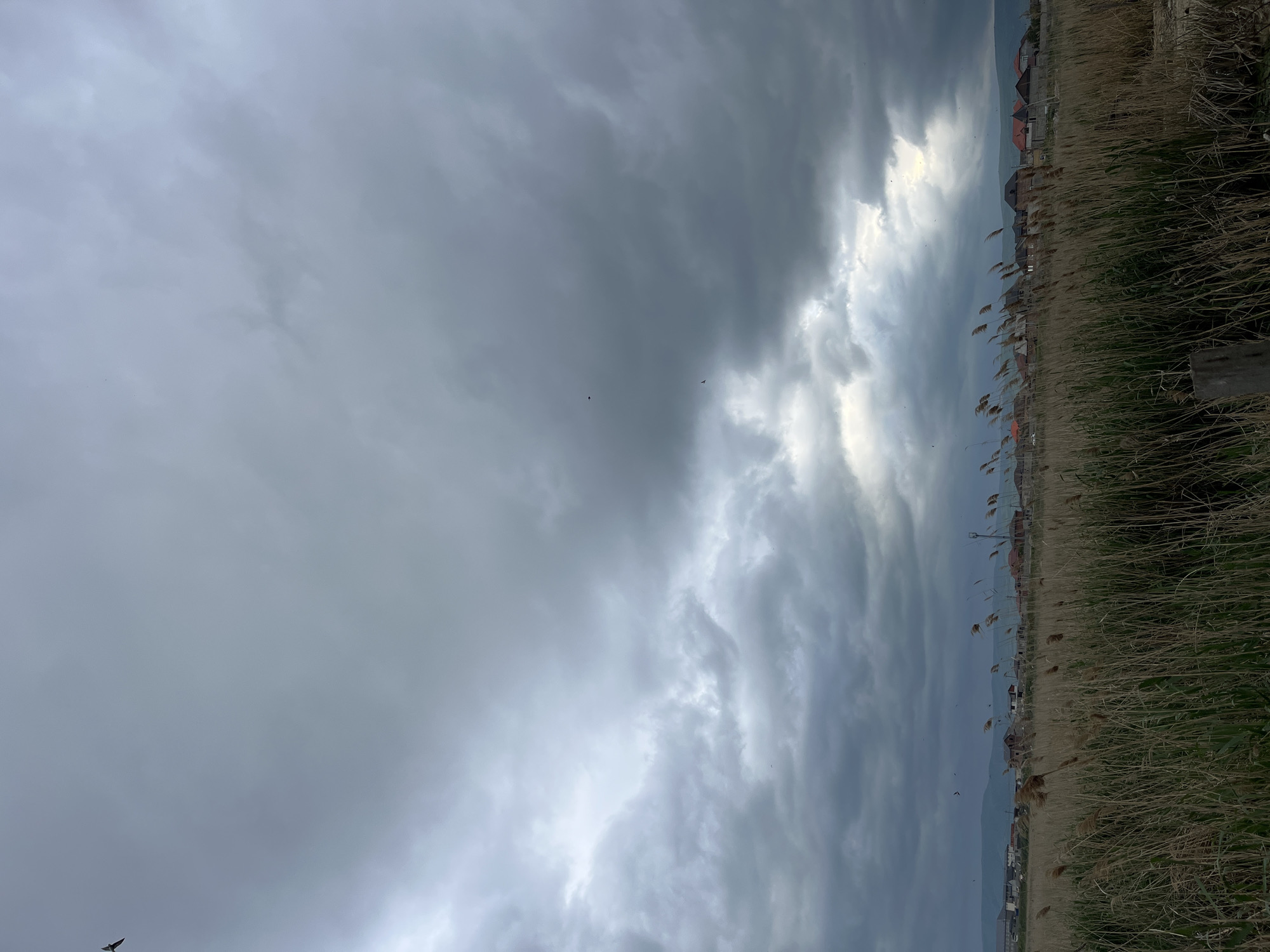 The image captures a landscape near Kaspiysk, Russia under a cloudy sky. A field of tall, dry grasses occupies the right side of the frame. Beyond the field, residential buildings with red roofs are visible against the backdrop of distant, hazy mountains. The sky is filled with a mix of dark gray and white clouds, indicating possible inclement weather. Several small birds can be seen flying in the sky.