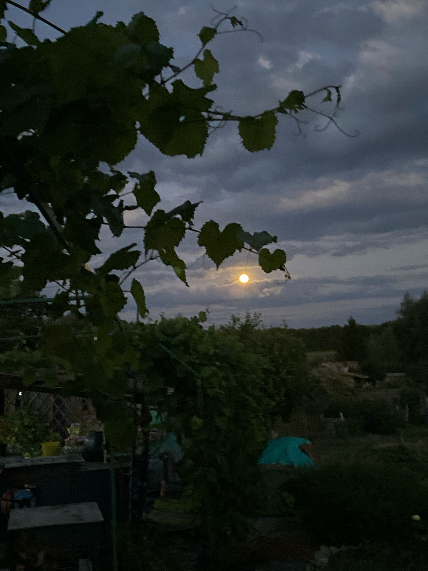 The image depicts a nighttime scene in Besplemyanovskii, Russia. In the foreground, a branch with dark green leaves and tendrils is silhouetted against a cloudy sky. A bright, full moon is visible in the distance, partially obscured by clouds, casting a soft glow. The background reveals a rural landscape with trees and vegetation. Among the trees, a turquoise tent is visible. In the lower left quadrant, there are dark structures that appear to be part of a garden shed or outdoor storage area, with a yellow bucket and other unidentifiable objects. The overall impression is a quiet, serene evening in a natural setting.