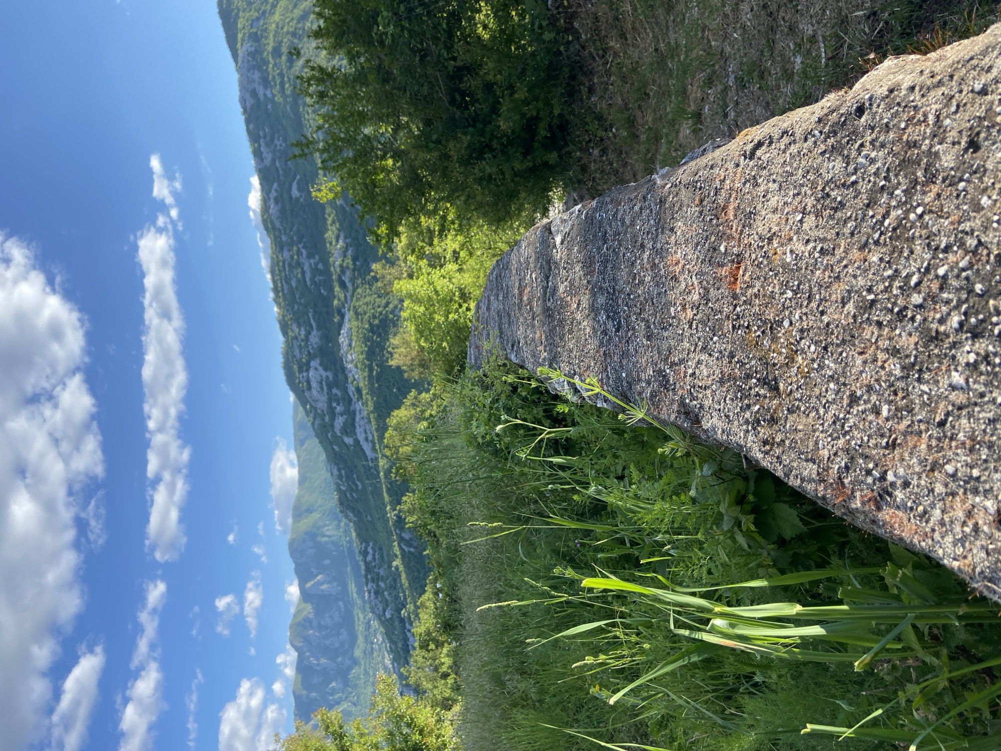 This image depicts a serene, elevated landscape in Sotonići, Montenegro, under a bright daytime sky. In the foreground, a rugged, weathered stone wall or ledge extends horizontally across the frame, positioned on the right side. This structure appears old, with a coarse texture of exposed aggregate and hints of orange and grey discoloration.
Lush green vegetation, including tall grasses and various leafy plants, grows abundantly alongside and behind the stone wall, suggesting a vibrant natural environment. Beyond the immediate foreground, the midground unfolds into a sweeping vista of rolling hills and majestic mountains. These mountains are densely covered in verdant trees and bushes, with some exposed grey rock faces contributing to their craggy appearance. The landscape implies a deep valley or gorge between the foreground and the distant peaks.
The background is filled with a clear, azure blue sky, dotted with numerous fluffy, white cumulus clouds. The bright sunlight illuminates the entire scene, highlighting the varied textures of the stone wall and the rich greens of the foliage. There is no human activity, visible text, or specific event taking place, emphasizing the natural beauty and tranquility of the mountainous terrain. The scene evokes a sense of peace and natural grandeur.