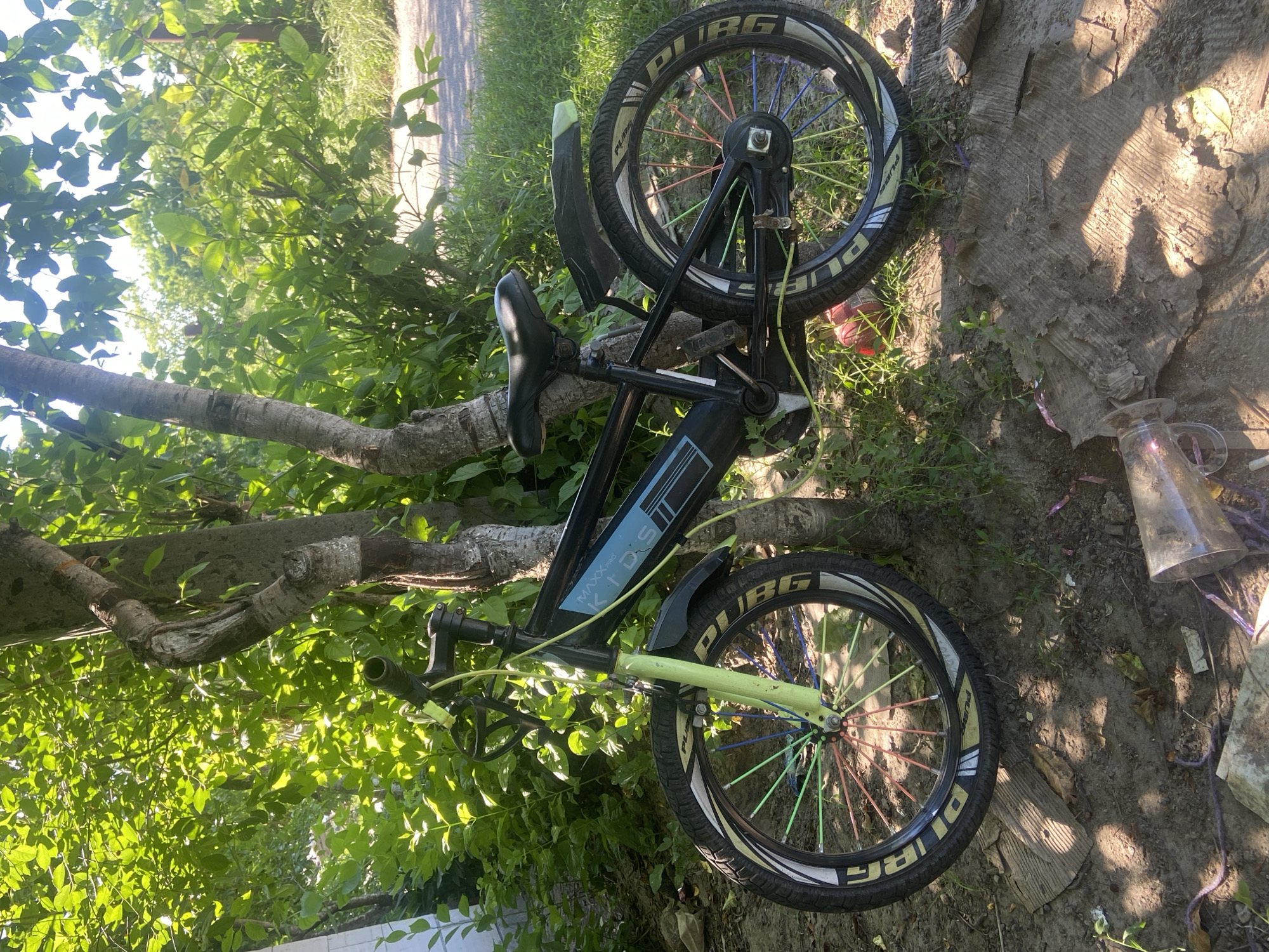 A black and light green children's bicycle is leaning against two tree trunks in a yard. The bicycle has colorful spokes on its wheels. The ground is covered with dirt, leaves, and some debris. In the background, there are green trees and foliage, suggesting an outdoor, possibly wooded or overgrown area. A road or path is visible in the far background. The lighting indicates it is daytime, with sunlight filtering through the leaves, creating dappled shadows.