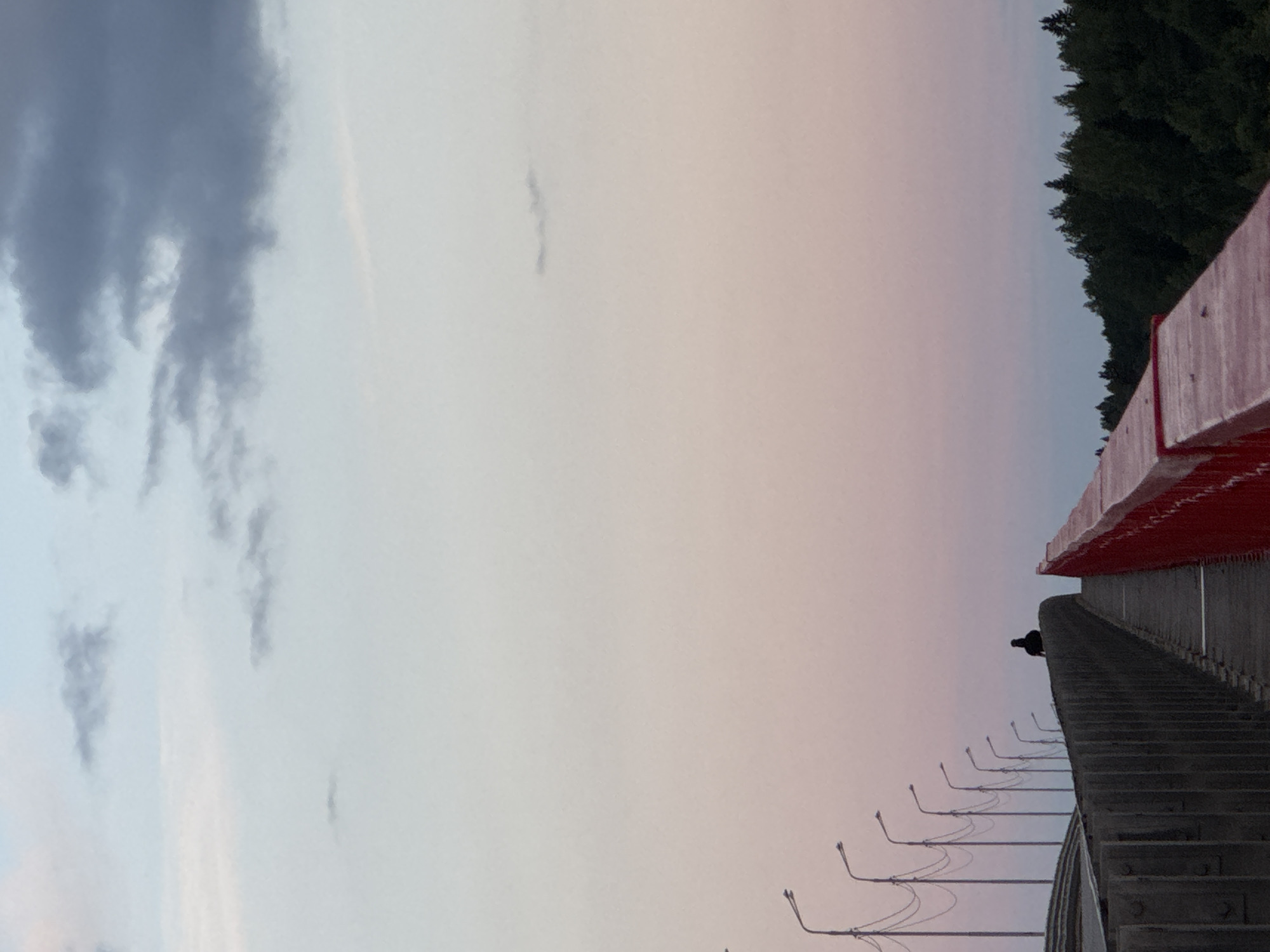 The image shows a view from a bridge at dusk. The sky transitions from a pale blue at the top to a soft pink and then a lighter shade of pink towards the horizon. A few dark clouds are visible in the upper part of the sky. On the bridge, a single silhouetted figure stands facing away from the camera, appearing to look out at the scenery. A row of streetlights with curved poles lines the left side of the bridge. The bridge has a dark grey barrier on the left and a bright red railing on the right. In the distance, a dense line of dark green trees forms a treeline against the horizon. The image appears to be taken in Ryabinino, Russia, given the context provided.