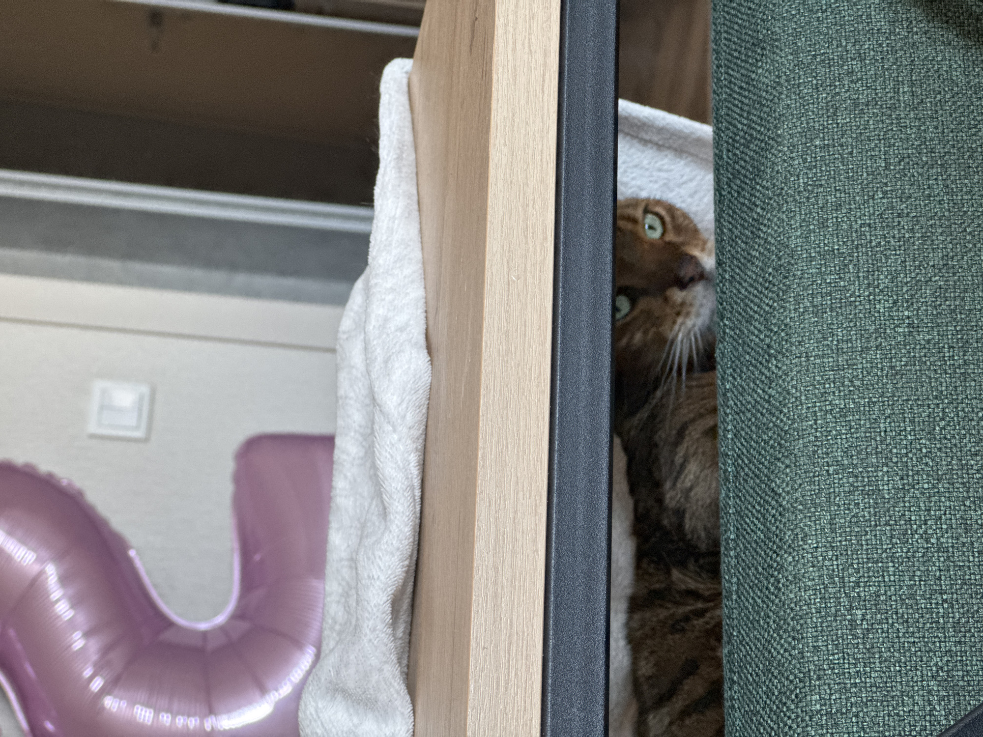 A medium shot depicts a cat peering out from behind a partially open cabinet door. The cat has brown and black fur, green eyes, and white whiskers. The cabinet door consists of a light brown wooden panel with a dark gray edge. A white towel is draped on the side of the cabinet door. A green upholstered surface is visible to the right of the cabinet door. In the background to the left, there are horizontal shelves, a light switch, and a partially visible purple letter-shaped balloon. The location appears to be indoors.