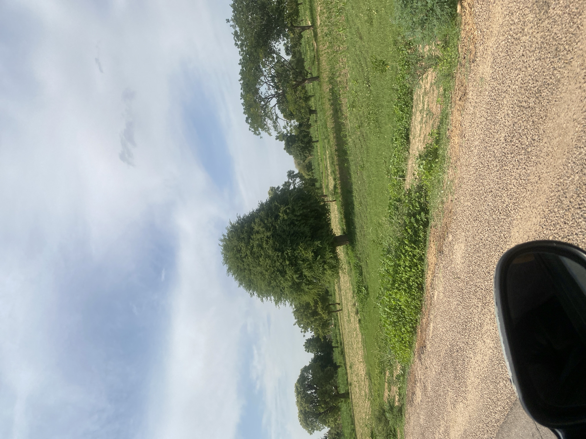 The image depicts a rural landscape, likely a field or agricultural area, under a partly cloudy sky. A dirt road, with a visible car side mirror in the foreground, runs along the left side of the frame. Beyond the road, a green field stretches out, dotted with various trees of different sizes and foliage densities. Some trees are large and mature with full canopies, while others are smaller and more sparse. The terrain appears somewhat uneven, with patches of bare soil visible amidst the greenery, suggesting cultivation. The overall impression is one of a tranquil, natural setting in a rural area, possibly on the outskirts of Utai, Nigeria, given the typical landscape of the region. There are no people visible in the image.