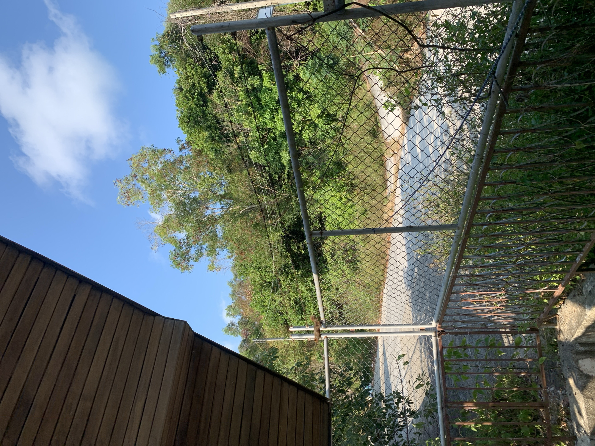 The image depicts a scene in บ้านบางรักษ์, Thailand, taken from a high vantage point. A portion of a brown wooden structure is visible on the left. A gray chain-link fence dominates the middle ground, with a gate on the right side. Beyond the fence and gate, a paved road or path stretches into the distance, lined with lush green trees and vegetation. The sky is blue with scattered clouds. A utility pole with electrical wires can be seen above the trees. The image appears to be taken on a sunny day.