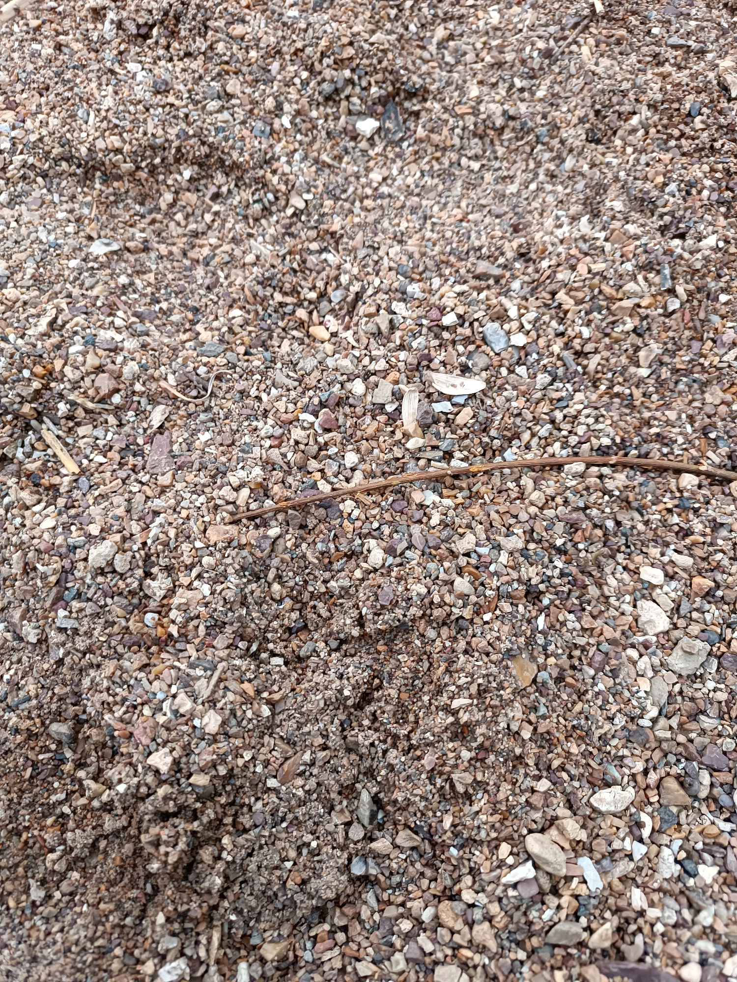The image is a close-up, top-down view of a gravelly surface composed of small, irregularly shaped pebbles and stones. The stones vary in color, ranging from light gray and white to darker browns, reds, and some with hints of blue or green. The texture of the surface is rough and uneven. A thin, dry twig or root lies horizontally across the center of the frame, oriented from left to right. There are no people, animals, or man-made structures visible. The environment appears to be natural, consistent with an outdoor ground surface. The location is identified as Ozernoe, Kazakhstan.