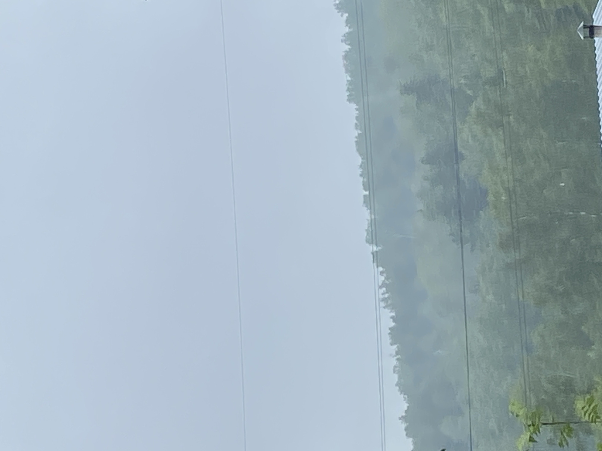 The image captures a misty, overcast day with a blurred landscape. A dense forest covers a hillside, with layers of trees appearing muted and indistinct due to the fog. Two horizontal power lines are visible stretching across the frame, one positioned higher and closer to the top of the hill, and another lower down, closer to the foreground. In the very bottom right corner, a section of a blue roof with a small chimney is visible, suggesting a human-made structure within the natural environment. The overall atmosphere is subdued, with soft, diffused light and a limited color palette dominated by greens and grays. The scene appears to be set in a natural, possibly rural or semi-rural area, given the prominent forest and power lines.