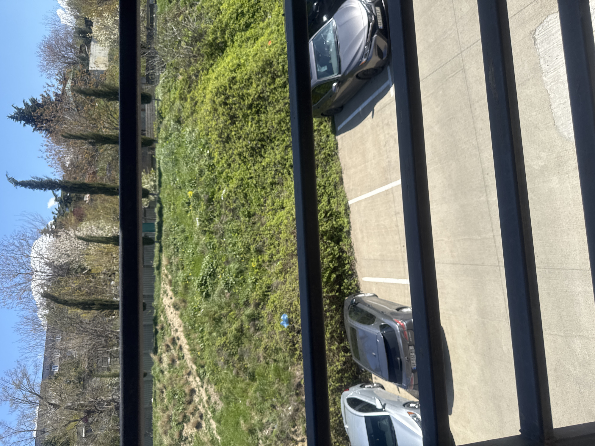 The view from a high vantage point, likely a balcony, is partially obscured by vertical metal bars. Below, a parking lot adjoins a patch of green space. Three cars are parked: one light-colored and two darker shades. The green space appears to be a grassy area with some scattered vegetation. In the distance, trees are visible. The image location is Tbilisi, Georgia.