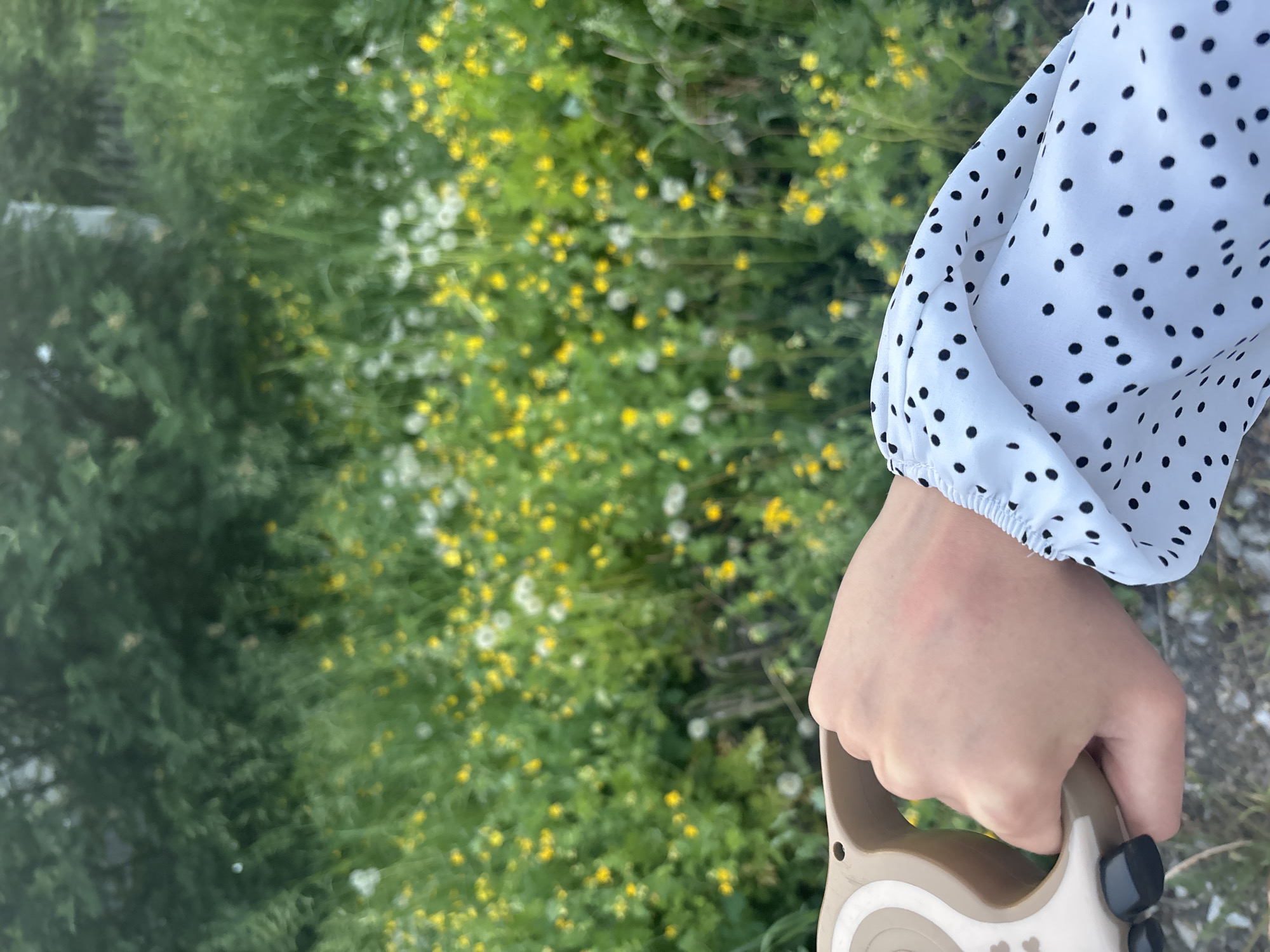 A person's hand, wearing a white polka-dot sleeve and a black fingernail polish, grasps a beige and brown retractable dog leash. The background features a dense, green field filled with yellow and white wildflowers, with trees visible in the distance. The scene appears to be an outdoor setting, possibly a park or a rural area near Vishnevka, Russia.