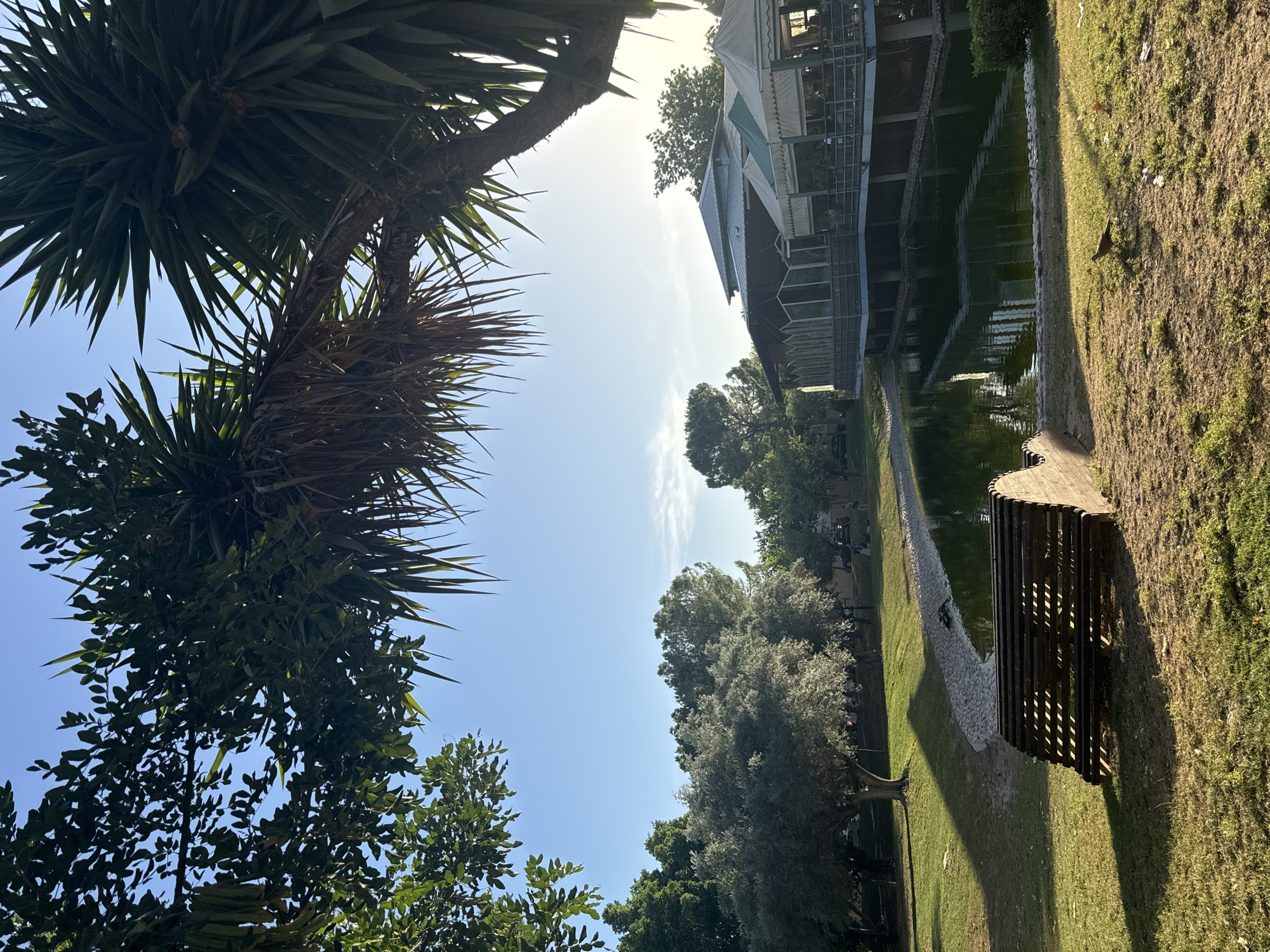 This image depicts a park scene with a body of water in the foreground, reflecting a building with an outdoor seating area. The building appears to be a restaurant or cafe with a covered patio. Lush greenery, including trees and bushes, surrounds the park. A wooden bench is positioned on the grass near the water. The sky is clear blue, suggesting a sunny day. The overall atmosphere is serene and inviting.