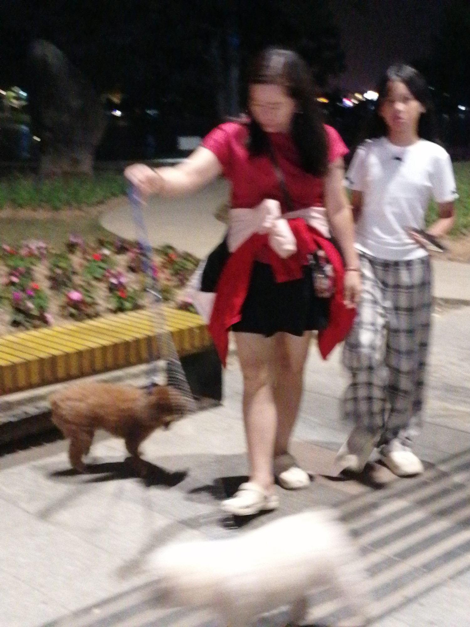 In Da Lat, Vietnam, at night, two young women are walking on a paved pathway with a small brown dog on a leash. The woman in the foreground wears a red shirt and a black skirt, with a light-colored wrap around her shoulders. The woman behind her is wearing a white t-shirt and plaid pants. The dog, a fluffy breed, is walking ahead of them. In the background, there are flower beds with colorful blooms and some trees. The lighting suggests it is evening or nighttime, with artificial lights illuminating the scene.