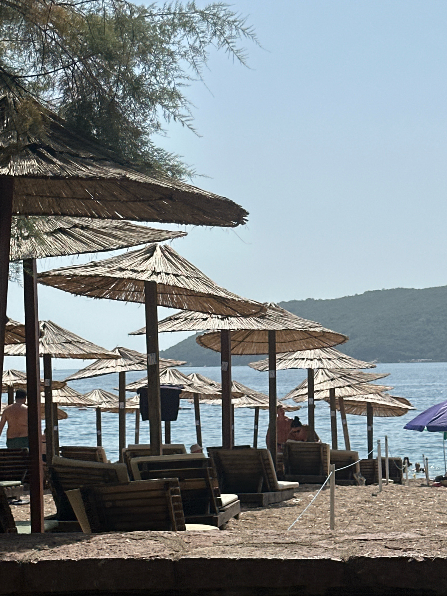 A beach scene in Budva, Montenegro, features rows of thatched umbrellas and empty lounge chairs on a sandy shore. The calm, blue water stretches towards a distant, tree-covered hill under a clear sky. Several people are visible in the background, some appearing to be sitting on lounge chairs or walking near the water. The overall impression is one of a peaceful, sun-drenched day at the seaside.
