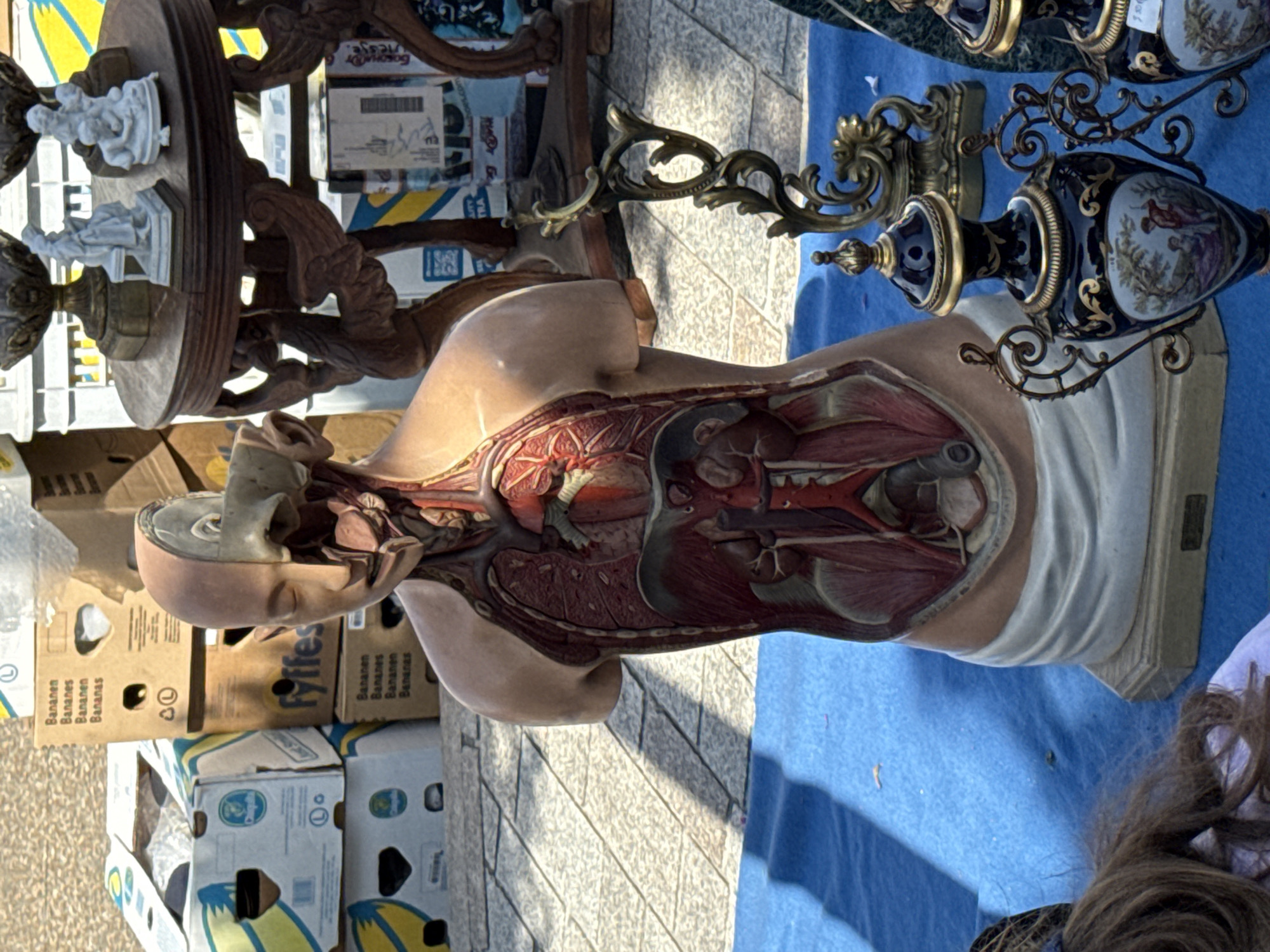 In the city of Bruges, Belgium, a street market is captured in a photograph. The foreground is dominated by a life-sized anatomical model of the human torso, showcasing detailed internal organs. To the left, a young person with long brown hair is partially visible, their head and shoulder angled away from the camera. A blue cloth is spread out on the ground, serving as a surface for display.
Behind the anatomical model, stacks of cardboard boxes are visible, some labeled with text, including "Bananas" and "Fyffes," suggesting they might be fruit crates. A small, ornately carved wooden table stands to the right, adorned with delicate figurines and decorative elements. Further back, additional items and market stalls can be seen, hinting at a bustling environment. The ground is paved with light-colored tiles, and shadows cast by the sun suggest an outdoor setting. Two dark blue porcelain vases with gold accents and painted scenes are prominently displayed in the lower right portion of the frame, adding to the eclectic mix of items available at the market.