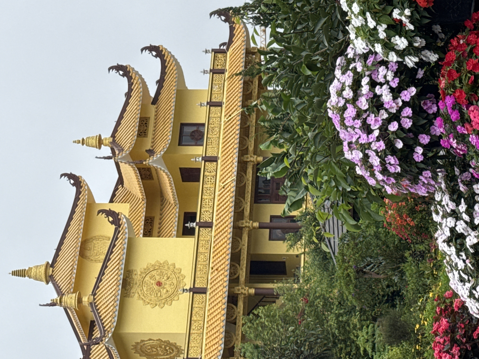 A yellow, multi-tiered Buddhist temple building with ornate, curved roofs is seen in the background. The temple is adorned with intricate gold carvings and a golden spire. In the foreground, a lush garden features a vibrant display of flowering plants, including clusters of pink and white impatiens, as well as red and pink petunias. The setting appears to be tranquil and visually appealing. This location is likely Truc Lam Zen Monastery in Da Lat, Vietnam.