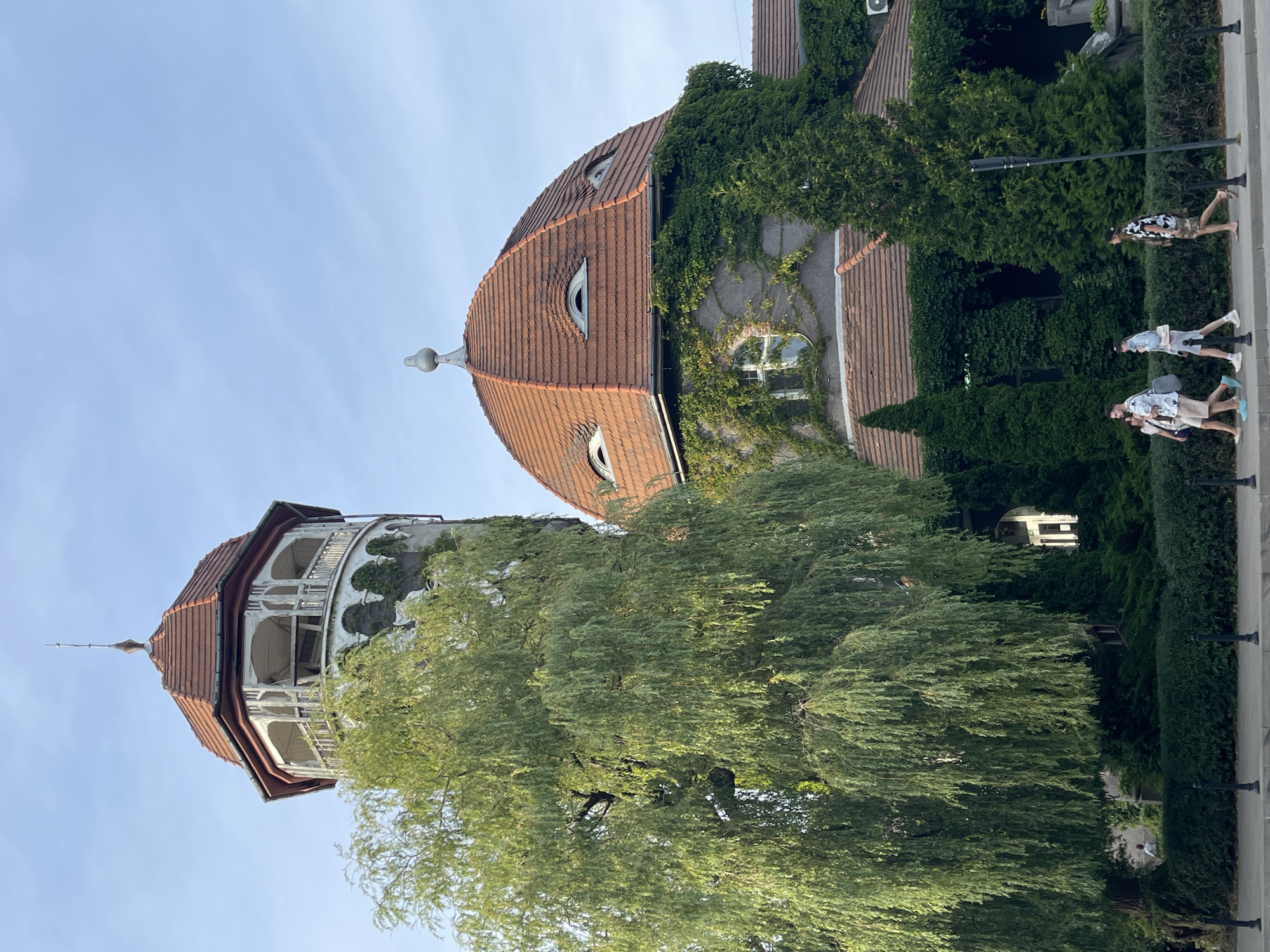 The image captures a low-angle view of two distinctive buildings in Svetlogorsk, Russia, under a clear blue sky. To the left, a tall, octagonal tower with a red-tiled roof and a spire rises, featuring an open-air gallery with arched supports and white balustrades. A large, weeping willow tree with lush green foliage partially obscures the tower. To the right, a domed building with a red-tiled roof is covered in green ivy. This dome has two prominent, eye-shaped windows. A smaller, rounded window with a white frame is visible on the ivy-covered wall below. The buildings appear to be integrated with abundant greenery, with manicured hedges and cypress trees surrounding them. In the foreground, a paved sidewalk runs along a street. Four individuals are walking on the sidewalk from left to right. The person closest to the left is a woman wearing a light-colored patterned shirt and shorts, with a purse over her shoulder. Next to her is a man in a similar shirt and shorts. Following them is another man wearing a light-colored jacket and shorts, with a light-colored bag on his shoulder. The person furthest to the right is a man in a patterned shirt and camouflage shorts. Black bollards are spaced along the edge of the sidewalk. The overall scene suggests a warm, sunny day in a European coastal town.