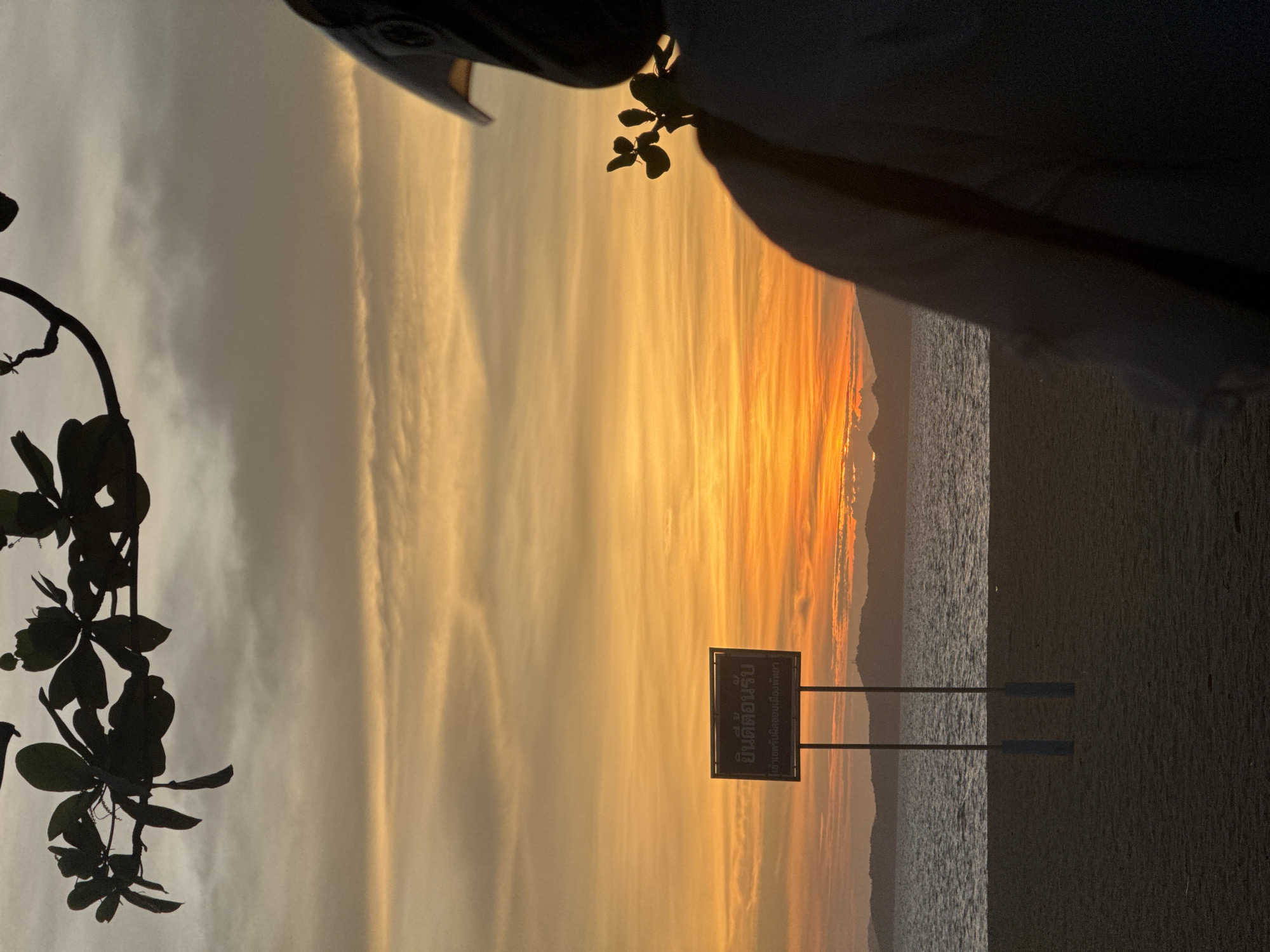 The image shows a sunset over a beach in Pattaya City, Thailand. The sky is filled with golden and orange hues. In the foreground, there's a dark silhouette of a plant on the left side and another vague silhouette in the upper portion, partially obscuring the view. A sign with Thai script is visible in the middle ground. Beyond the sign, there is a calm body of water and the silhouette of a shoreline in the distance. The scene is serene and emphasizes the natural beauty of a sunset over the ocean in a coastal city.