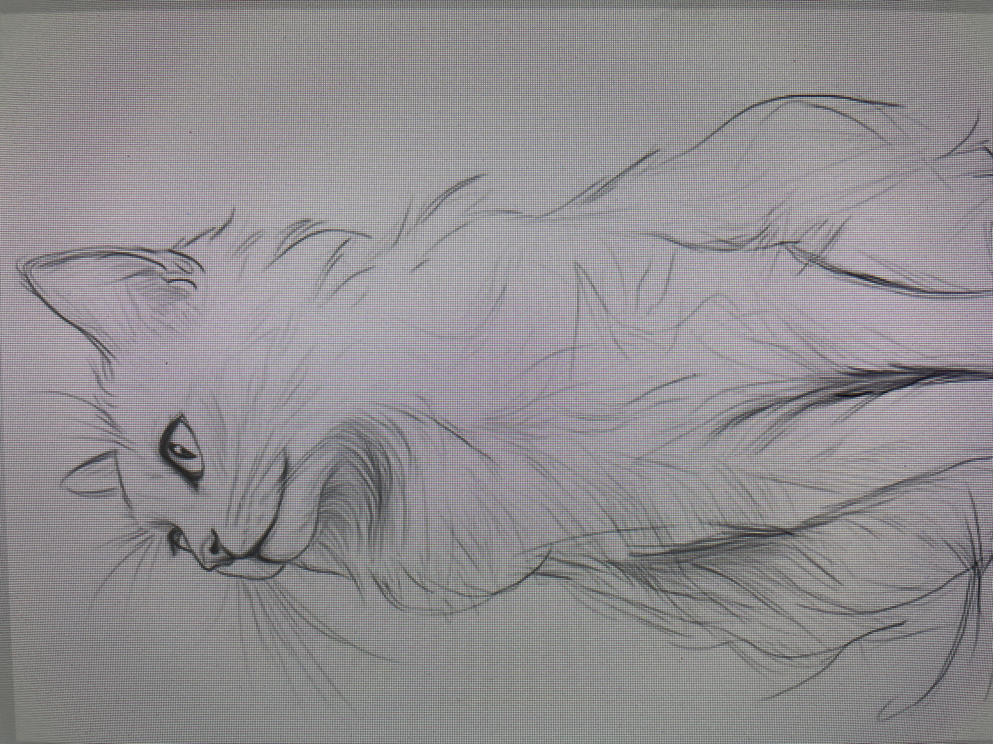 The image displays a digital drawing of a cat, characterized by a stylized, sketch-like aesthetic, presented on what appears to be a digital screen due to the prominent, uniform grid pattern of pixels visible across the entire photograph. The cat is depicted in profile, with its head on the left side of the frame and its body extending horizontally to the right, suggesting a reclining or stretched pose.
The drawing is monochromatic, using shades of gray and black lines on a light gray background. The cat features large, expressive eyes with dark pupils, a small nose, and delicate whiskers. Its ears are pointed and outlined with fine strokes. The artist has used numerous thin, flowing lines to create the impression of long, soft fur, particularly around the head, neck, and along the body, giving the creature a somewhat ethereal or fluffy appearance. Some darker shading is present around the eye and nose, adding depth.
No specific activity is taking place beyond the display of this artwork. There are no people or other distinct objects in the frame, nor any visible text. The overall impression is one of calm and artistic simplicity. The location context for this image is Poltava, Ukraine, though no visual cues within the image itself confirm this setting.