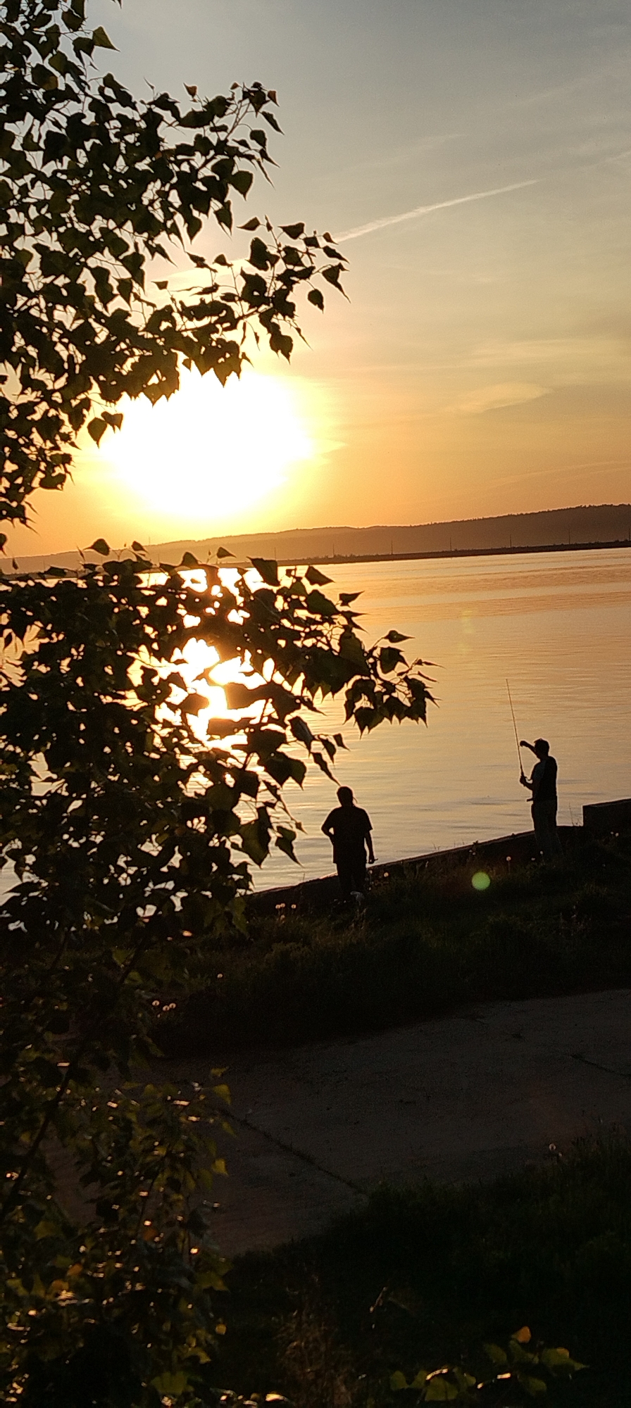 Here's a detailed description of the image:
**Scene:**
The image captures a serene sunset scene at a body of water, likely a river or large lake. The location appears to be Chaikovsky, Russia. The sun is setting on the horizon, casting a warm, golden glow over the water and sky. Hazy sky, with a faint contrail visible.
**Foreground:**
A tree branch with dense foliage frames the left side of the image. The leaves are backlit by the setting sun, creating a silhouette effect.
**Midground:**
Two figures are present near the water's edge. One is standing with a fishing rod, while the other stands nearby. Both figures are silhouetted against the bright light of the sunset.
**Background:**
Across the water, there is a distant shoreline with trees or hills silhouetted against the sky. Some powerlines can be seen in the distance.
**Environment:**
The overall impression is one of tranquility and natural beauty. The soft light and peaceful setting create a calm atmosphere.