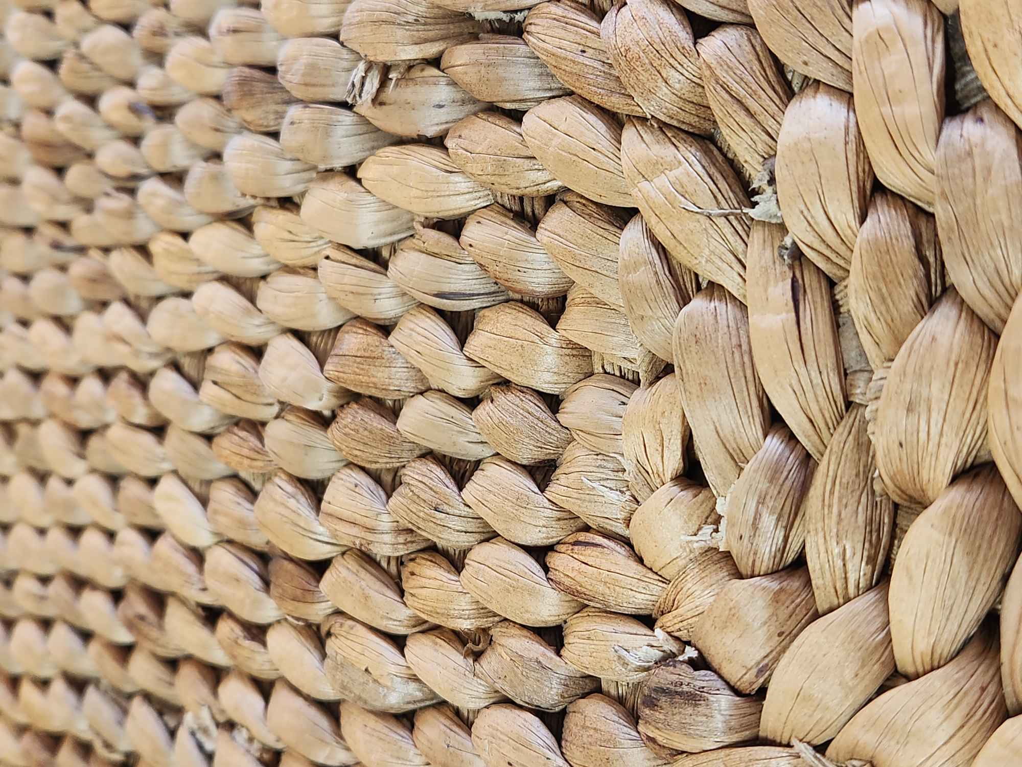The image is a close-up, top-down shot of a woven natural fiber material, likely a basket or placemat. The fibers are light brown to tan in color and appear to be dried reeds or grasses, woven tightly together in a repeating pattern of interlaced strands. The texture is rough and fibrous, with visible lines and variations in color and thickness of the individual strands. The lighting is soft and diffused, casting subtle shadows that highlight the three-dimensional texture of the weave. There are no people, animals, or other objects visible in the frame.
The image does not contain any information or visual cues that would allow for the determination of its location in the city of Maitland, United States of America, or any other specific geographical location.