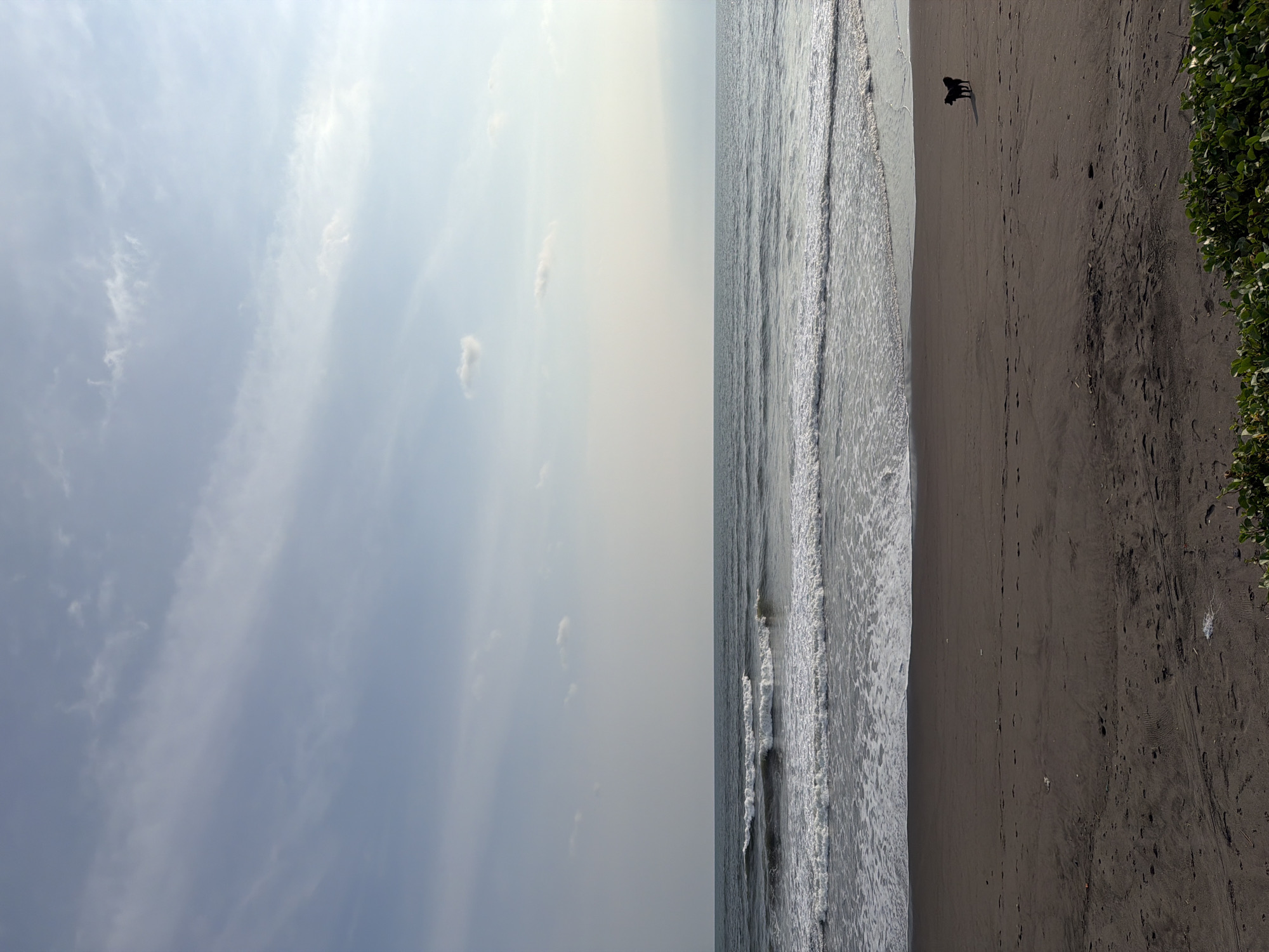 The image displays a coastal scene located in Belalang, Indonesia. The environment consists of a light blue sky with scattered white, wispy clouds, appearing brighter towards the right. The ocean, a dark grey-blue, extends to the horizon, featuring multiple lines of white-capped waves breaking onto the shore. The immediate foreground and midground are composed of dark, damp sand, indicative of a beach. Numerous human footprints and various small, light-colored pieces of debris are visible on the sand. Along the bottom edge of the frame, a strip of dense, green, leafy vegetation is present. A single, dark-colored dog is standing in silhouette on the wet sand in the lower right quadrant of the image, positioned upright and facing slightly left. No people are present.