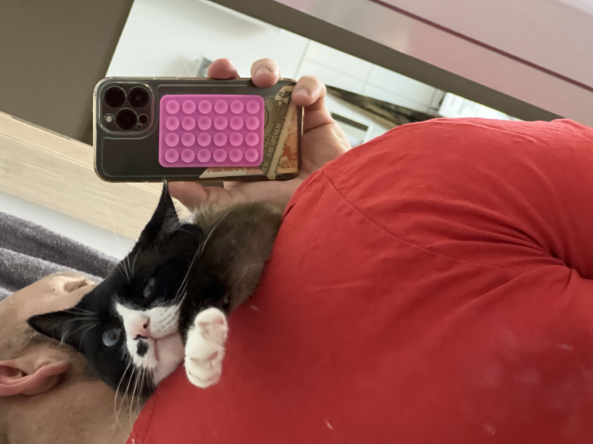 A person wearing a red shirt is holding a black smartphone with a pink pop-it accessory attached to the back. The smartphone is positioned to capture a reflection in a mirror. A black and white cat with blue eyes is resting on the person's shoulder, looking at the camera. The background appears to be an indoor setting with a mirror reflecting furniture and possibly a doorway. There is no indication of the location in Noviy, Russia.