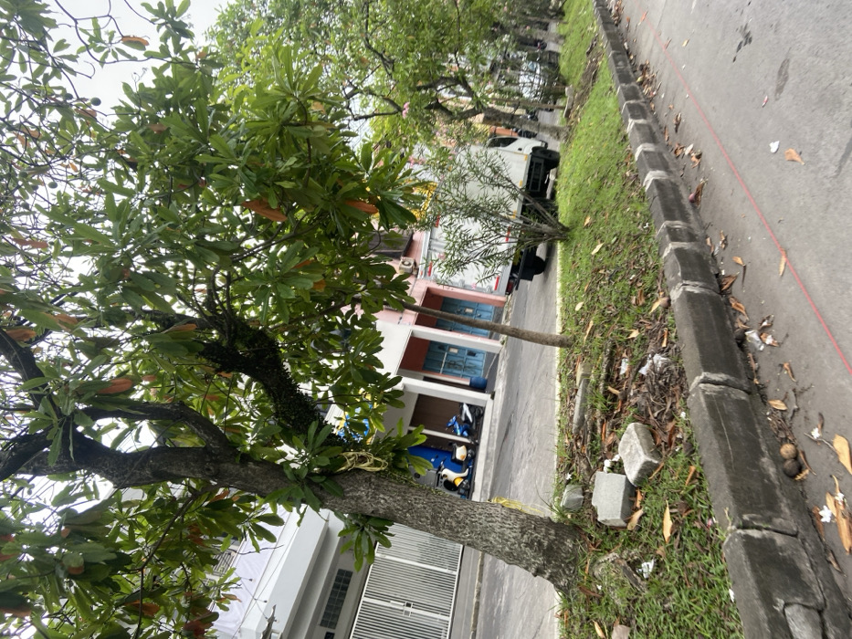 The image shows a street in Margaasih, Indonesia (latitude: -6.969, longitude: 107.553). A large tree with green leaves stands in the foreground, its roots visible on the ground. Several concrete blocks are scattered around the base of the tree. A concrete curb separates the sidewalk from the street. A white truck is parked on the side of the street, with several other vehicles visible in the distance. The street is paved and appears to be relatively quiet with a red line painted down the middle. The buildings on the opposite side of the street are partially obscured by the tree. The image is taken from a low angle, looking towards the street.