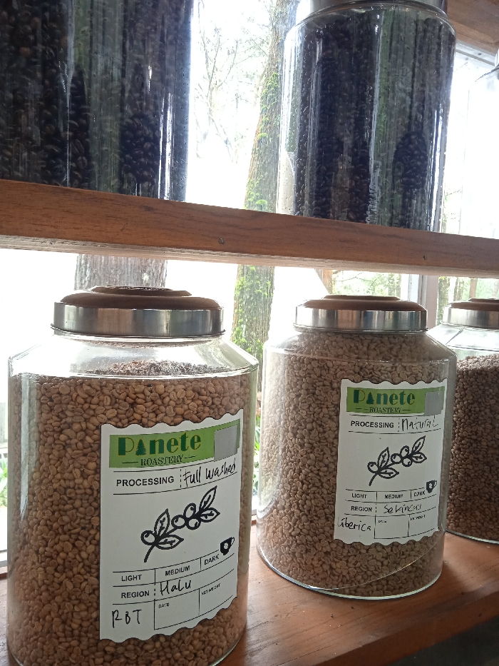 The image shows a close-up of four glass jars filled with coffee beans, positioned on a wooden shelf in Plaosan, Indonesia (latitude: -7.669, longitude: 111.217). Two of the jars contain light brown coffee beans, and the other two contain dark brown coffee beans. Each jar features a white label with green text and graphics, indicating the type and processing method of the coffee beans. The labels state "Panete Roastery" and specify the processing type, region, and variety of the beans. The jars are positioned against a window with a view of green foliage outside. The image focuses on the coffee beans and the labels, presenting a detailed visual of the contents and characteristics of each jar. The scene suggests a coffee shop or roastery, showcasing various types of coffee beans for sale or display.