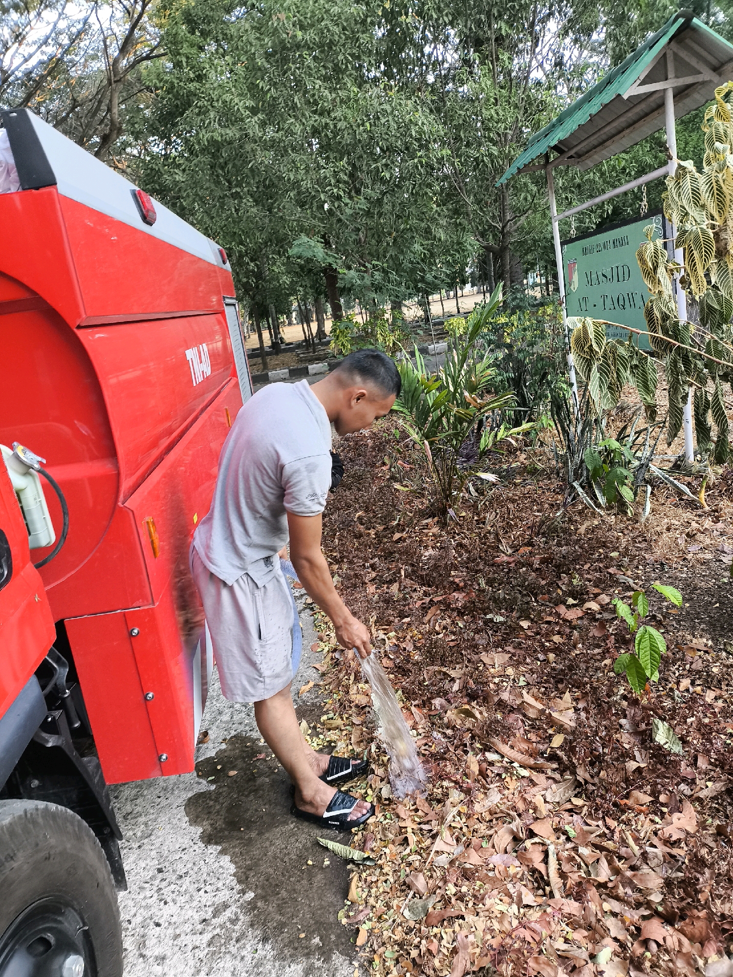 A man is watering a patch of ground covered in dry leaves near a red vehicle. He is wearing a grey t-shirt and light-colored shorts, with black sandals. The vehicle appears to be a truck with a large red container. In the background, there is a sign that reads "MASJID AT-TAQWA" and a cluster of trees. The environment is outdoors, with a mix of vegetation and dry foliage on the ground. The scene takes place in a public area, possibly near a place of worship. The man's action suggests he is tending to the plants or cleaning the area.