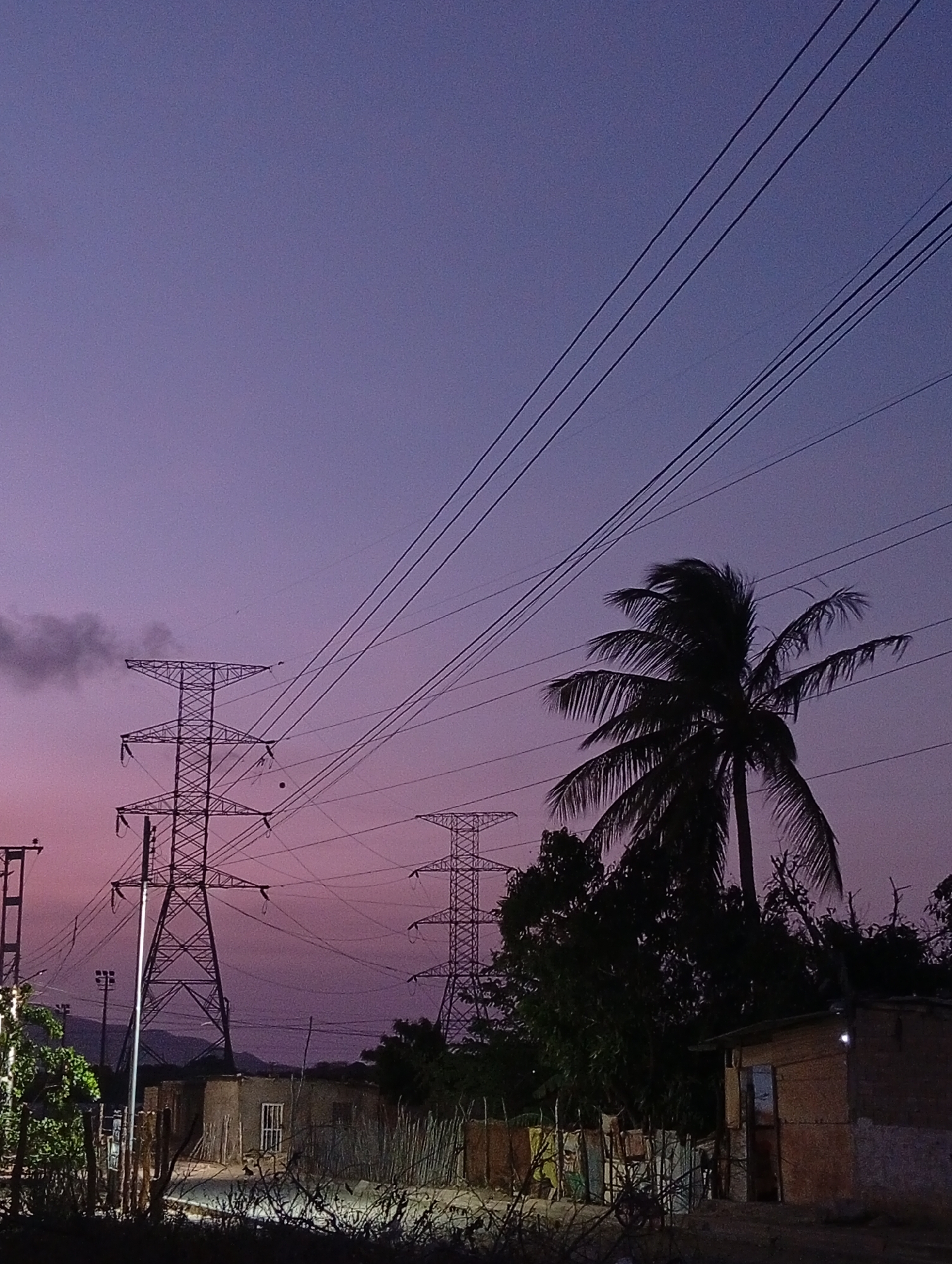 At dusk in Juan Griego, Venezuela, two electrical transmission towers are seen amid a landscape of buildings, vegetation, and power lines. A palm tree is situated among the other plants. The sky transitions from purple to pink in the fading light.