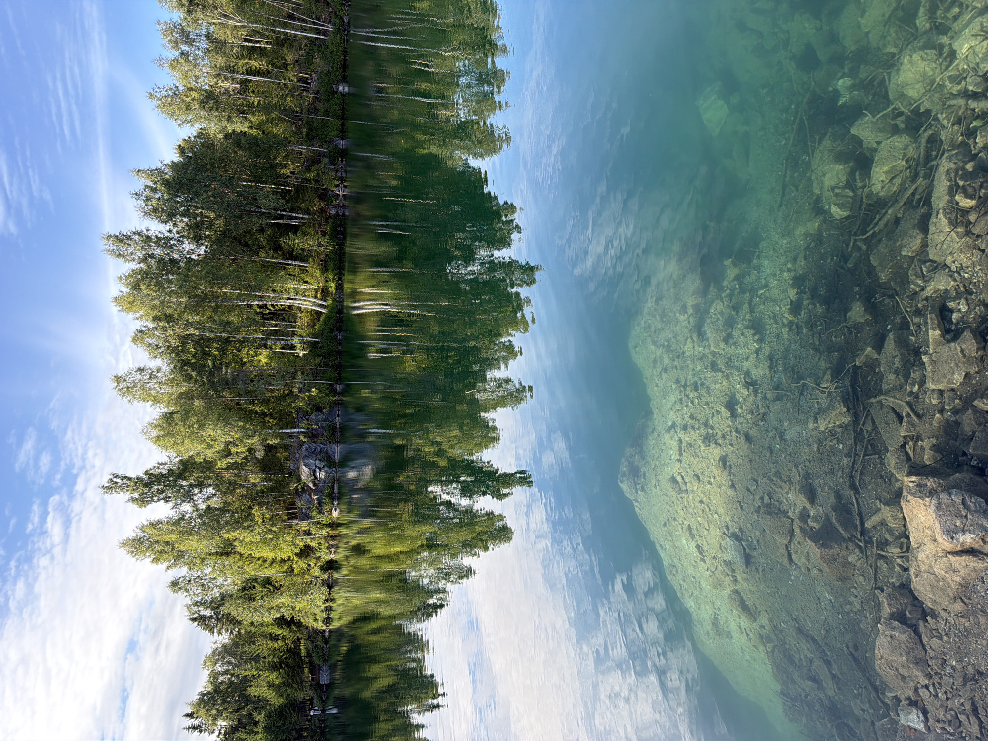 A landscape photograph captures a clear turquoise lake in a natural setting. The lake's surface reflects a blue sky with white clouds and a dense line of trees lining the far bank. The trees are a mix of deciduous and coniferous species, with birch trees being prominent due to their white trunks. The water is so transparent that the rocky bottom and submerged branches are clearly visible, particularly in the foreground. The shoreline in the foreground consists of rocks and pebbles. The overall impression is one of serene natural beauty.
