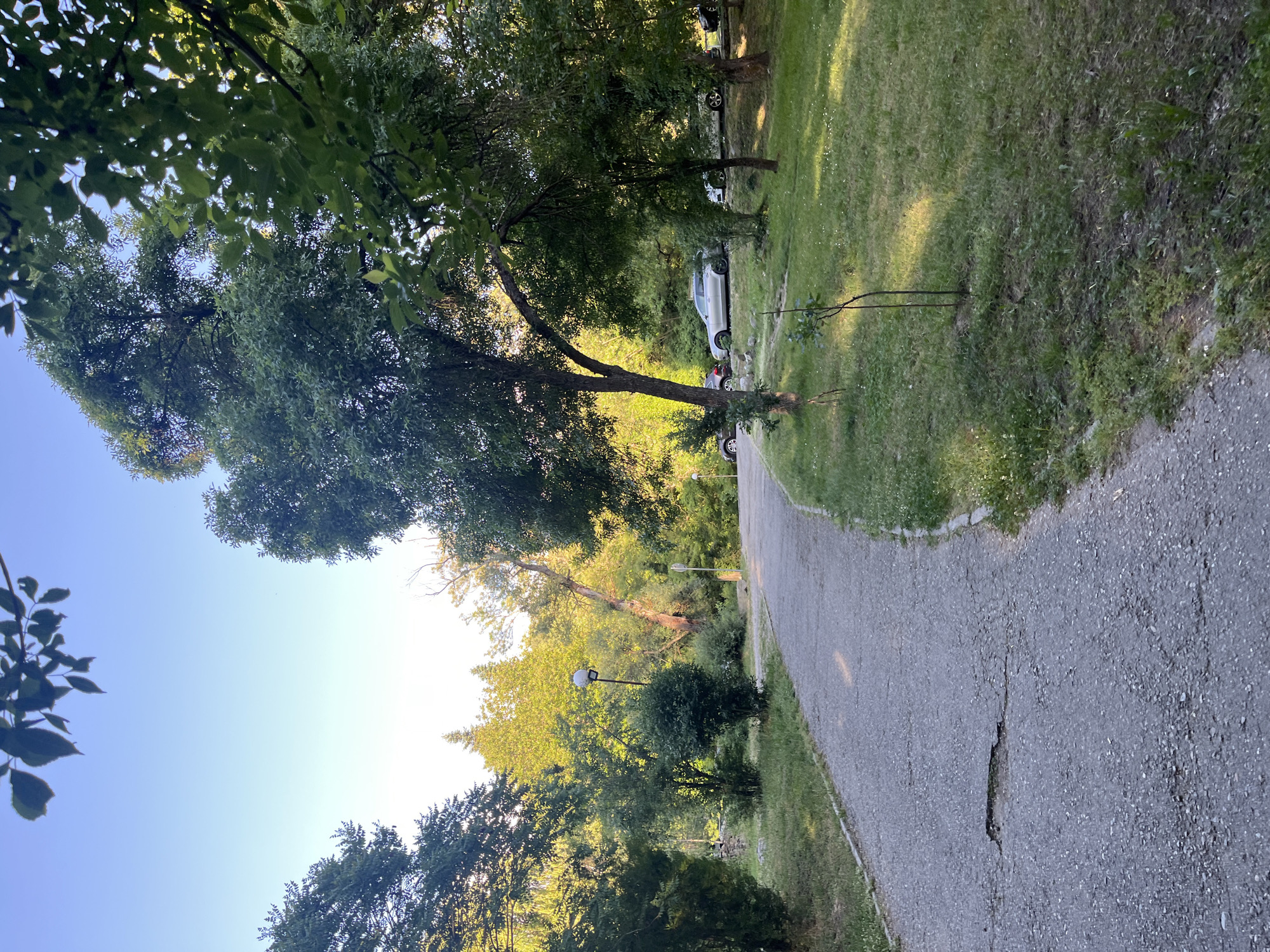 The image shows a paved path curving through a park-like area in Blagoevgrad, Bulgaria. Mature trees line the path, casting shadows. A silver car is parked in the grassy area adjacent to the path. Street lamps are visible. The sky is blue.