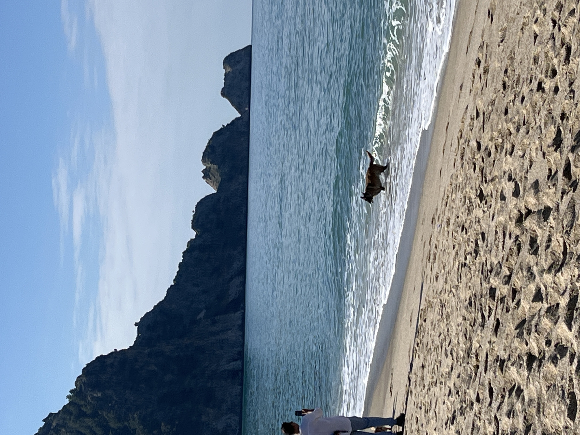 The image depicts a beach scene, likely in Alanya, Turkey, given the presence of rocky cliffs similar to those found along the Alanya coastline. A person stands on the sand, holding a phone as if taking a picture of a dog playing in the water. The beach slopes down to the ocean, where waves are visible. Mountainous cliffs rise in the background. The sky is blue with some cloud cover.